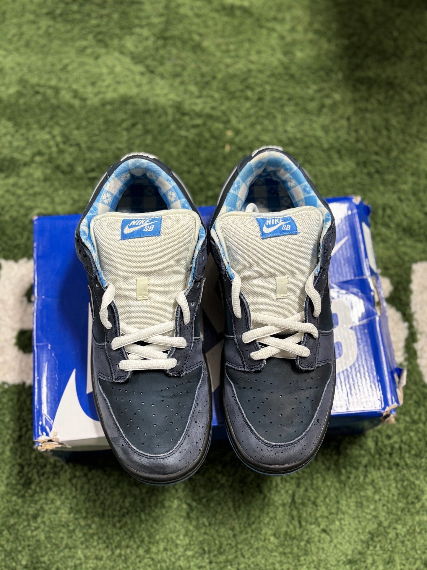 Nike SB Dunk Low Concepts Blue Lobster