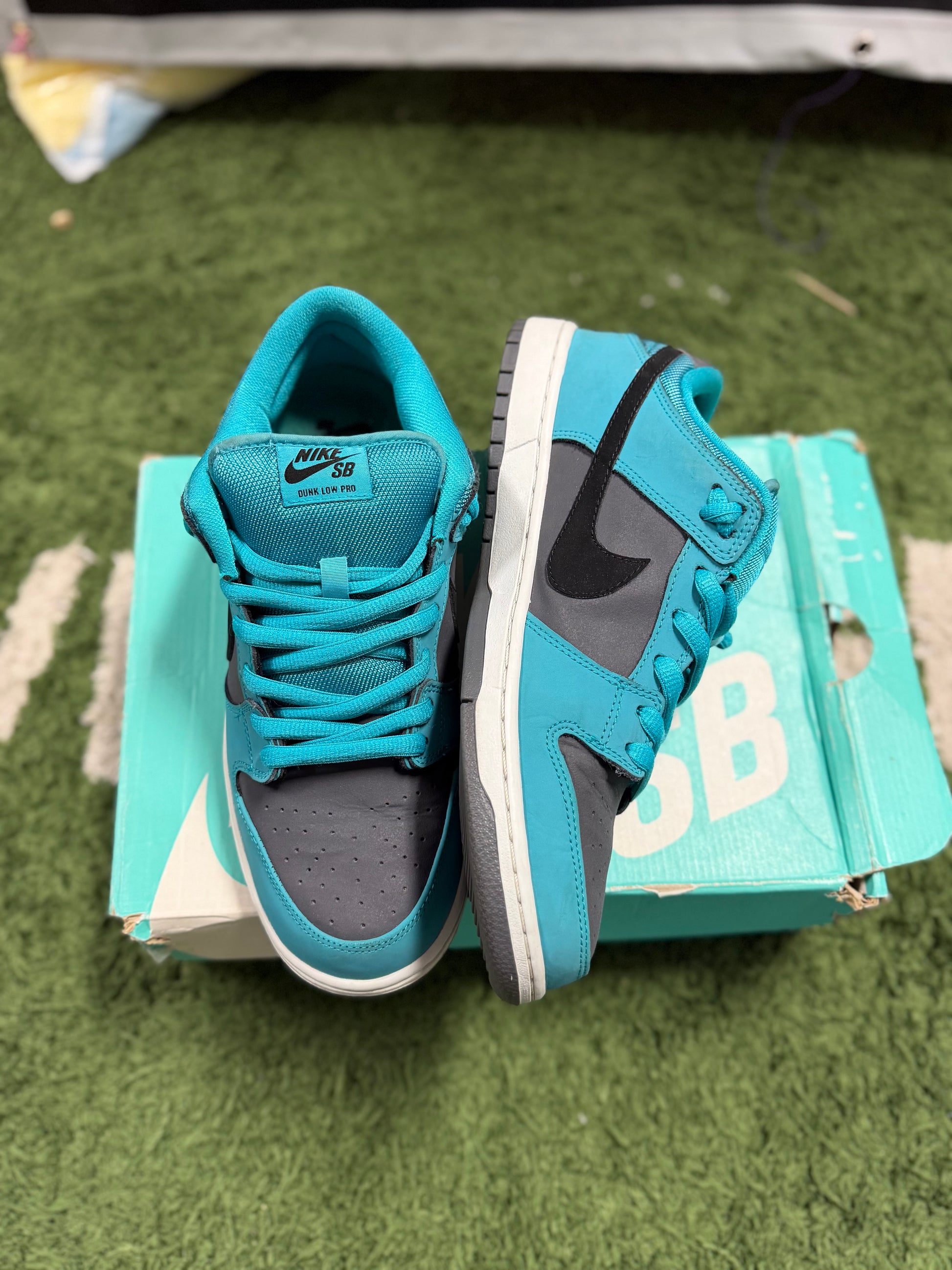 Nike SB Dunk Low Dusty Cactus