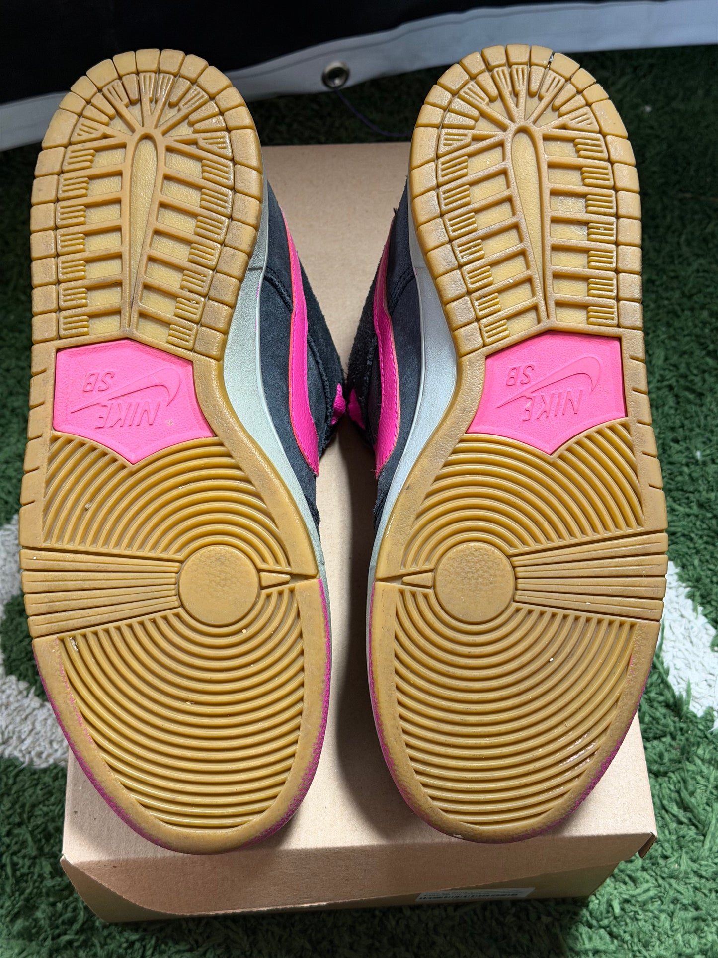 Nike SB Dunk Low Disposable