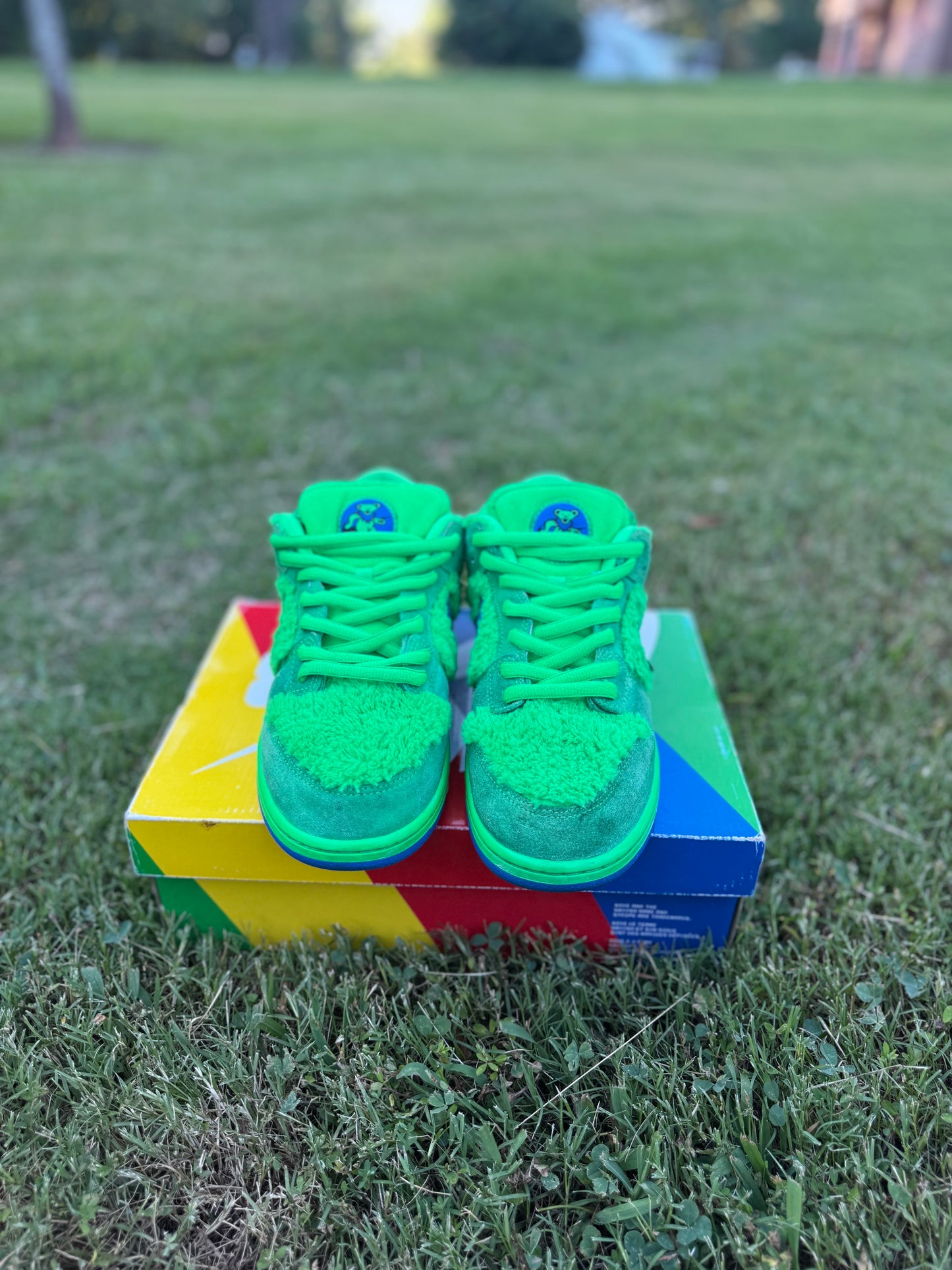 Nike SB Dunk Low "Grateful Dead  Bears Green" Sz 11.5M