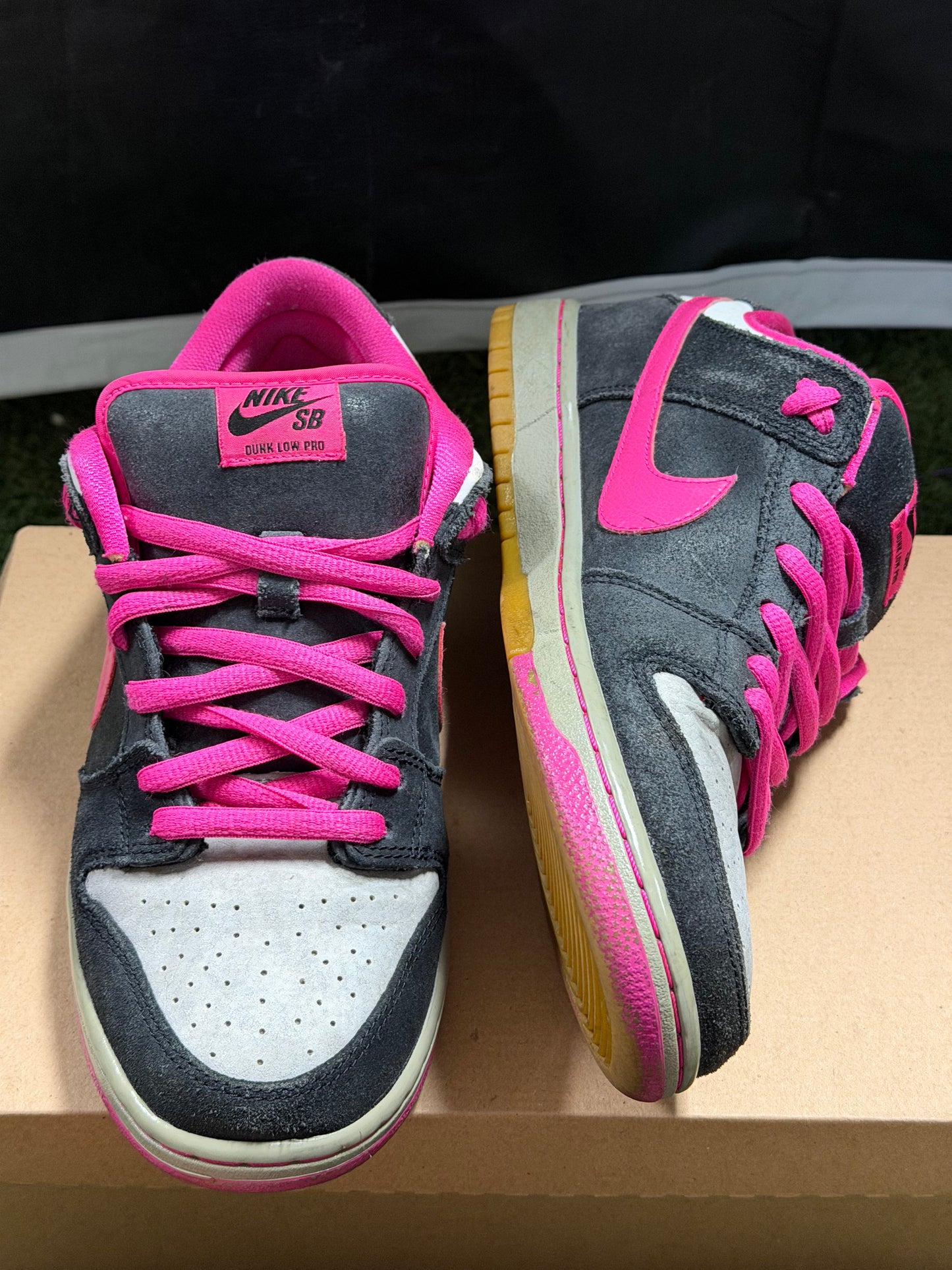 Nike SB Dunk Low Disposable