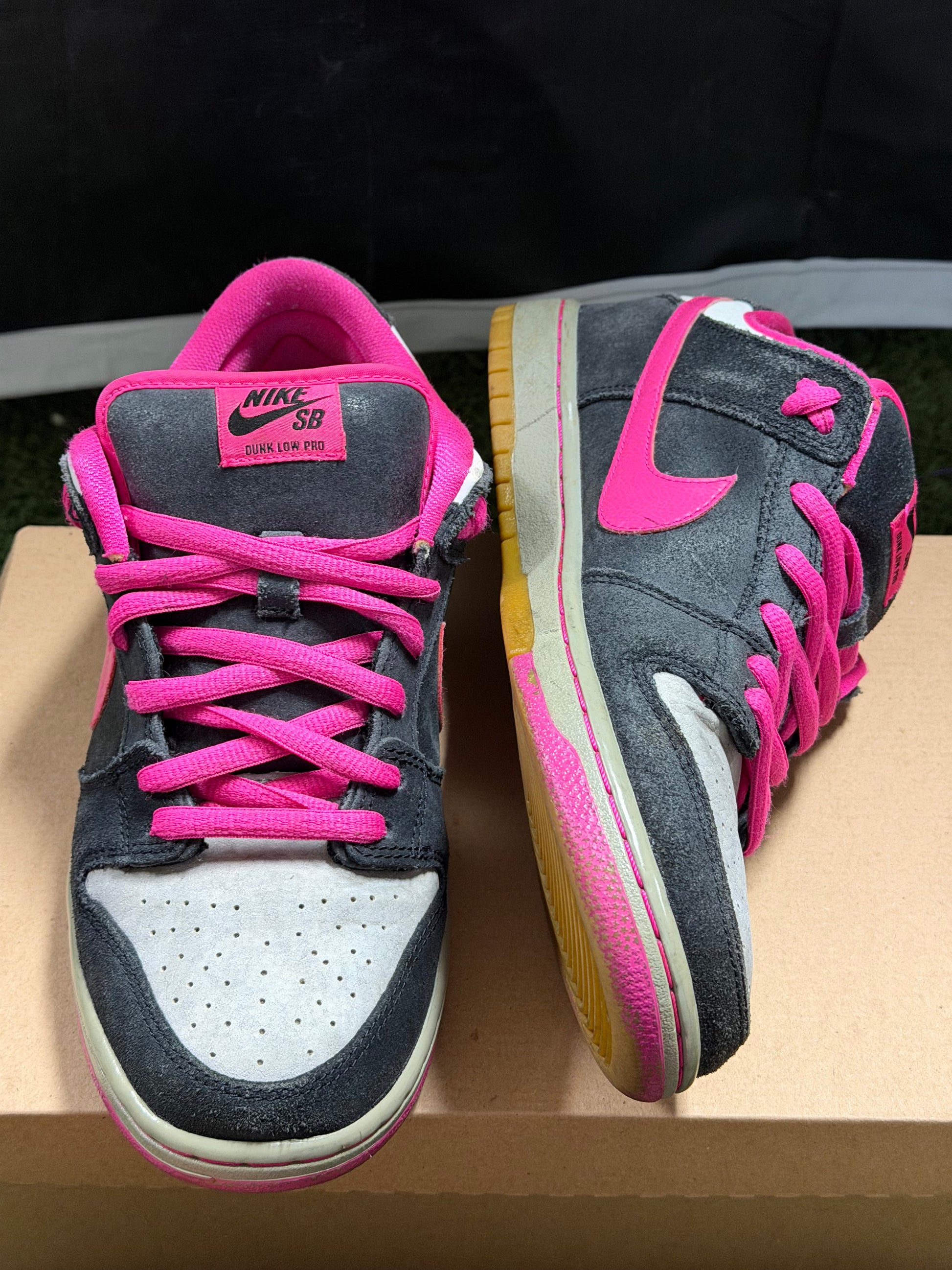 Nike SB Dunk Low Disposable