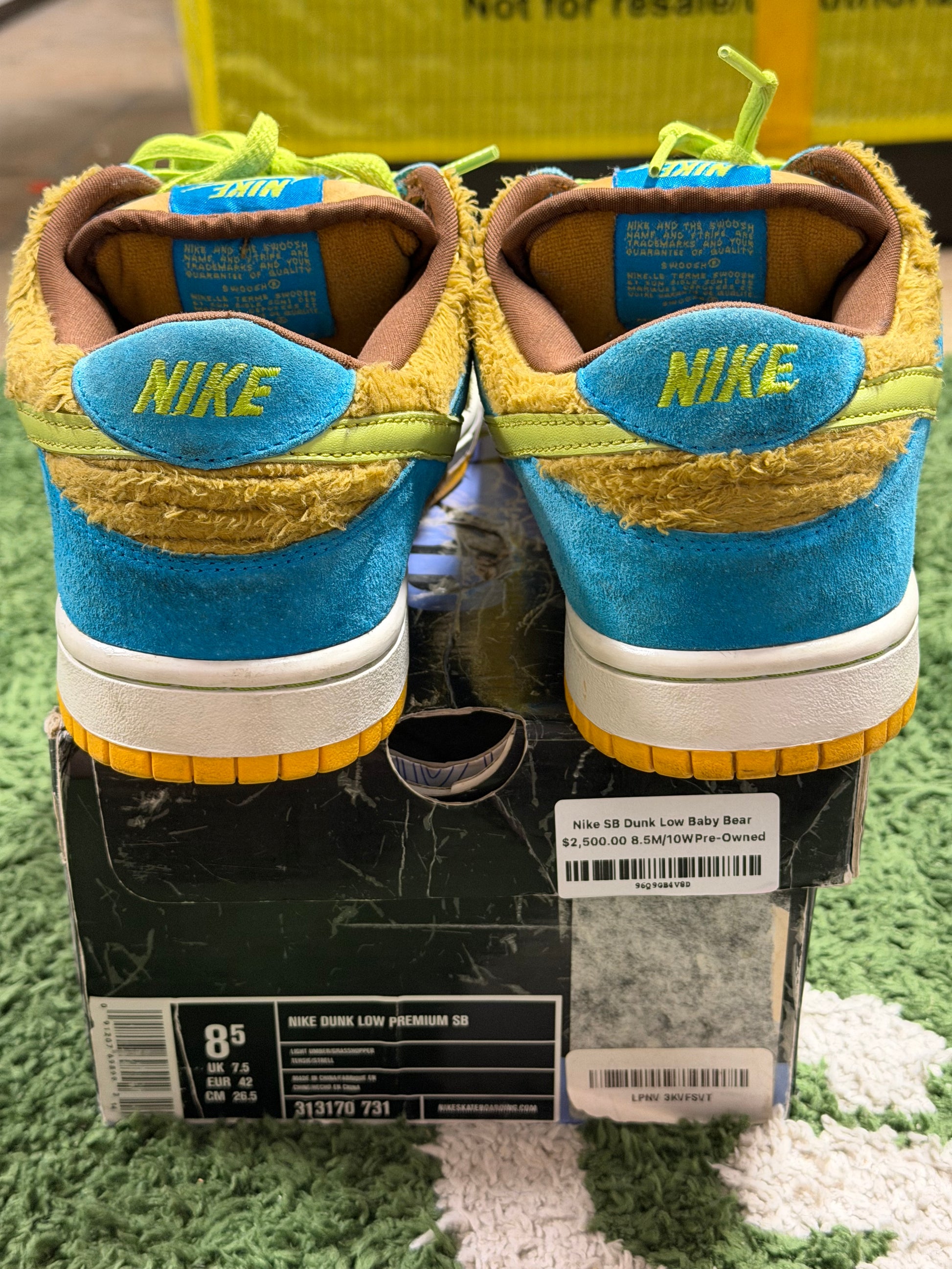 Nike SB Dunk Low Baby Bear
