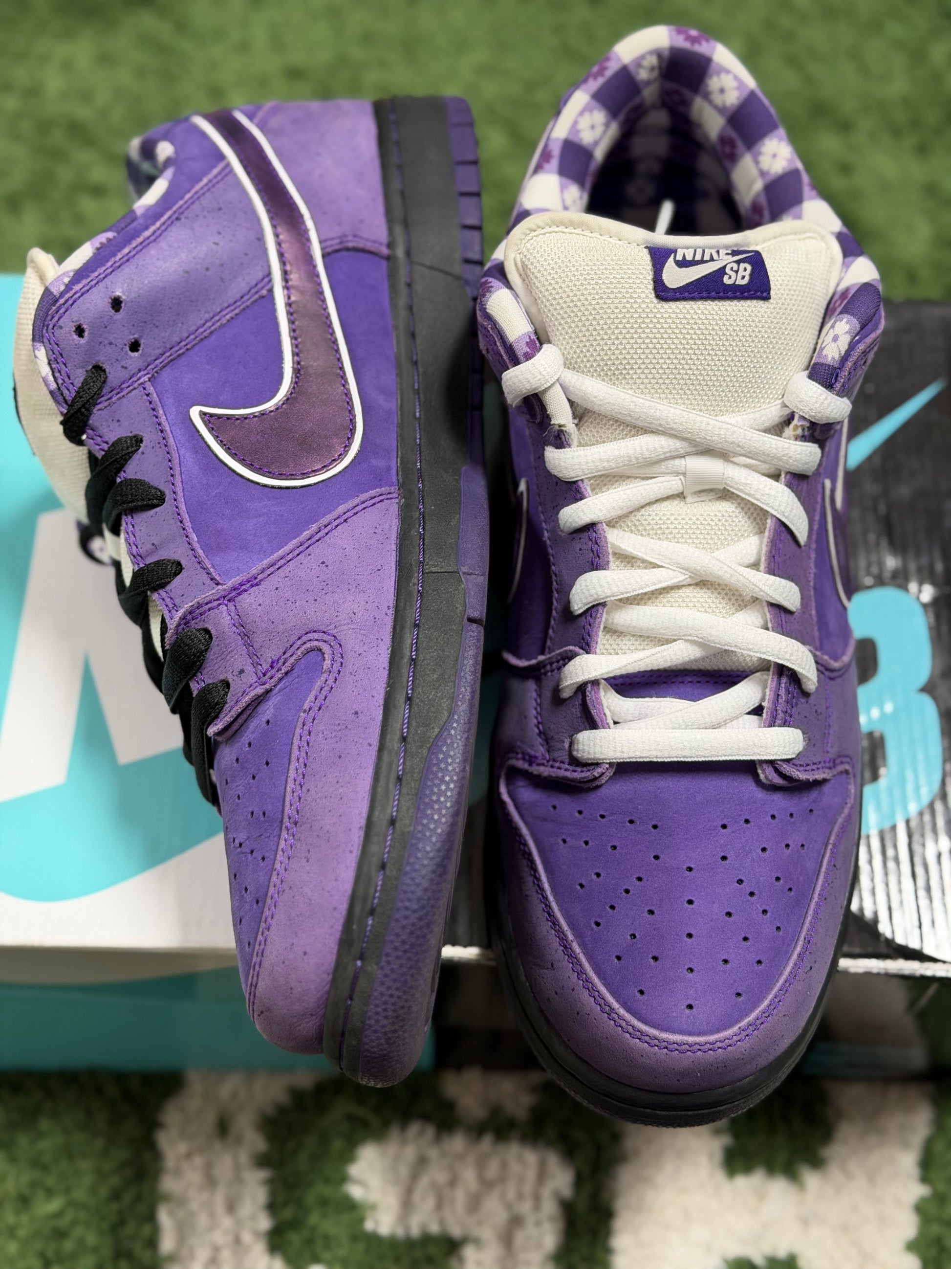 Nike SB Dunk Low Concepts Purple Lobster