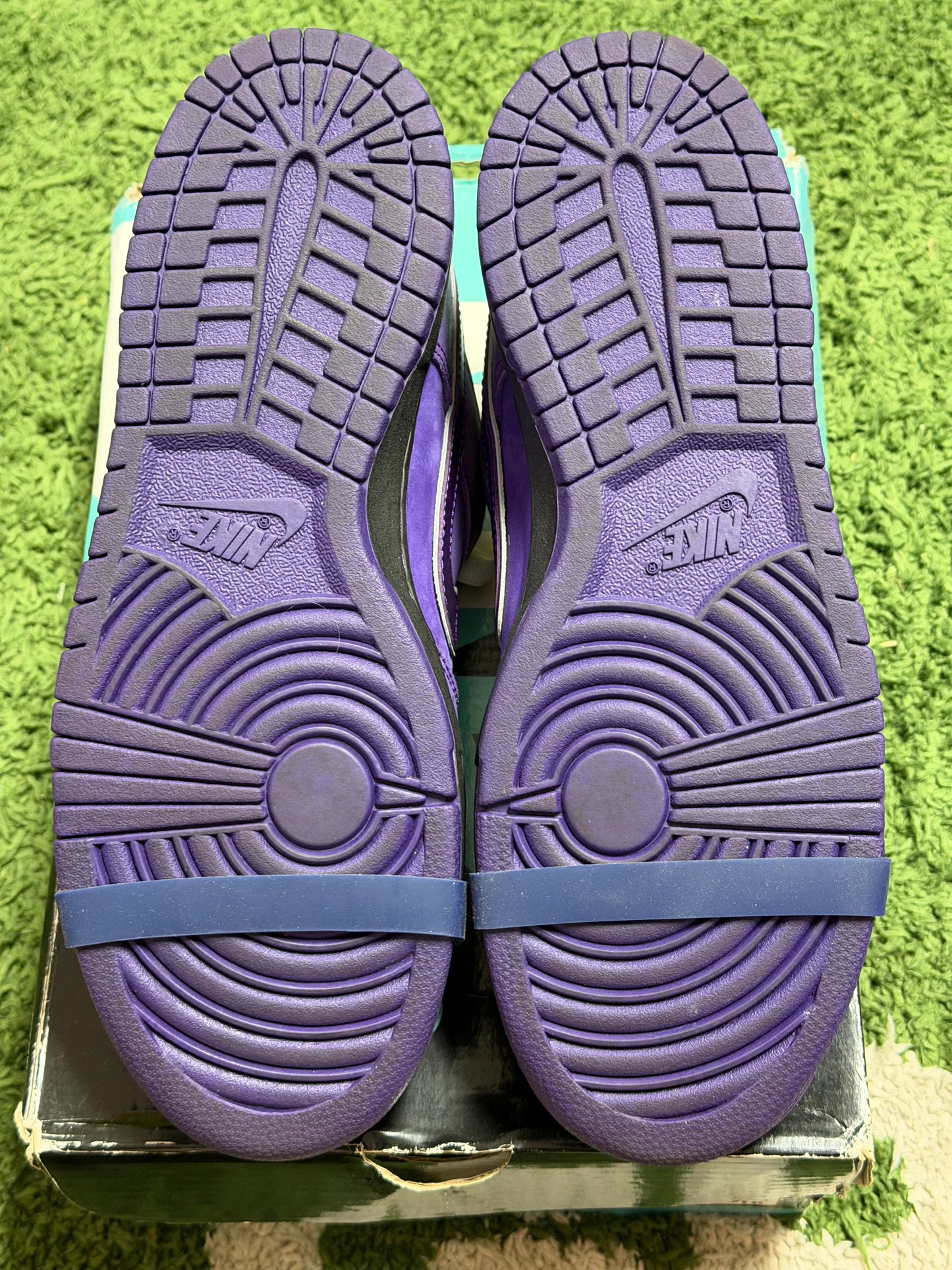 Nike SB Dunk Low Concepts Purple Lobster