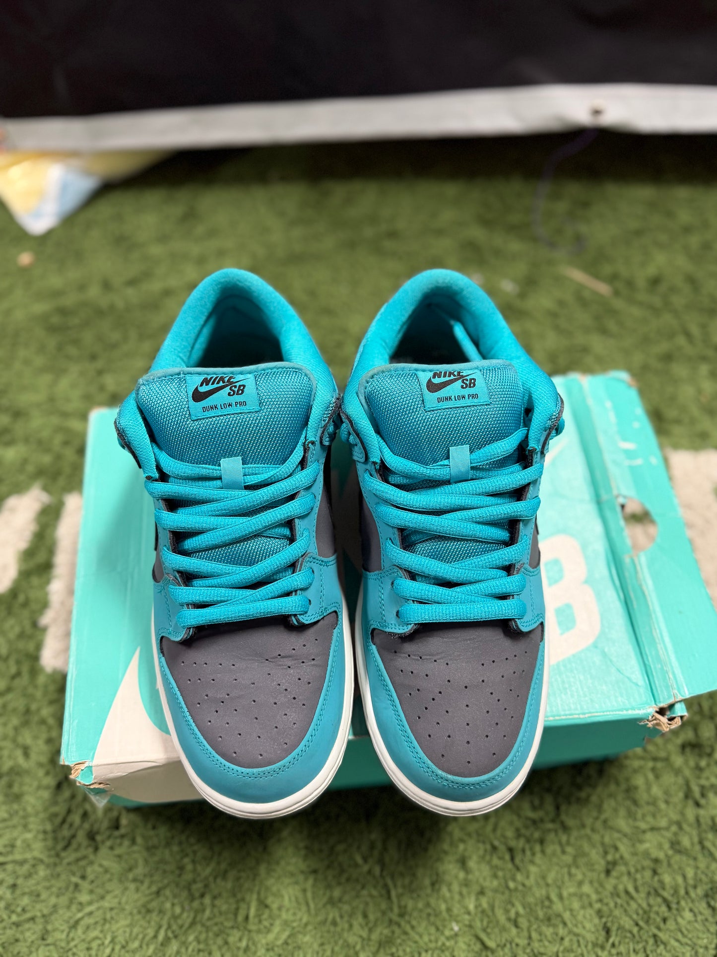 Nike SB Dunk Low Dusty Cactus