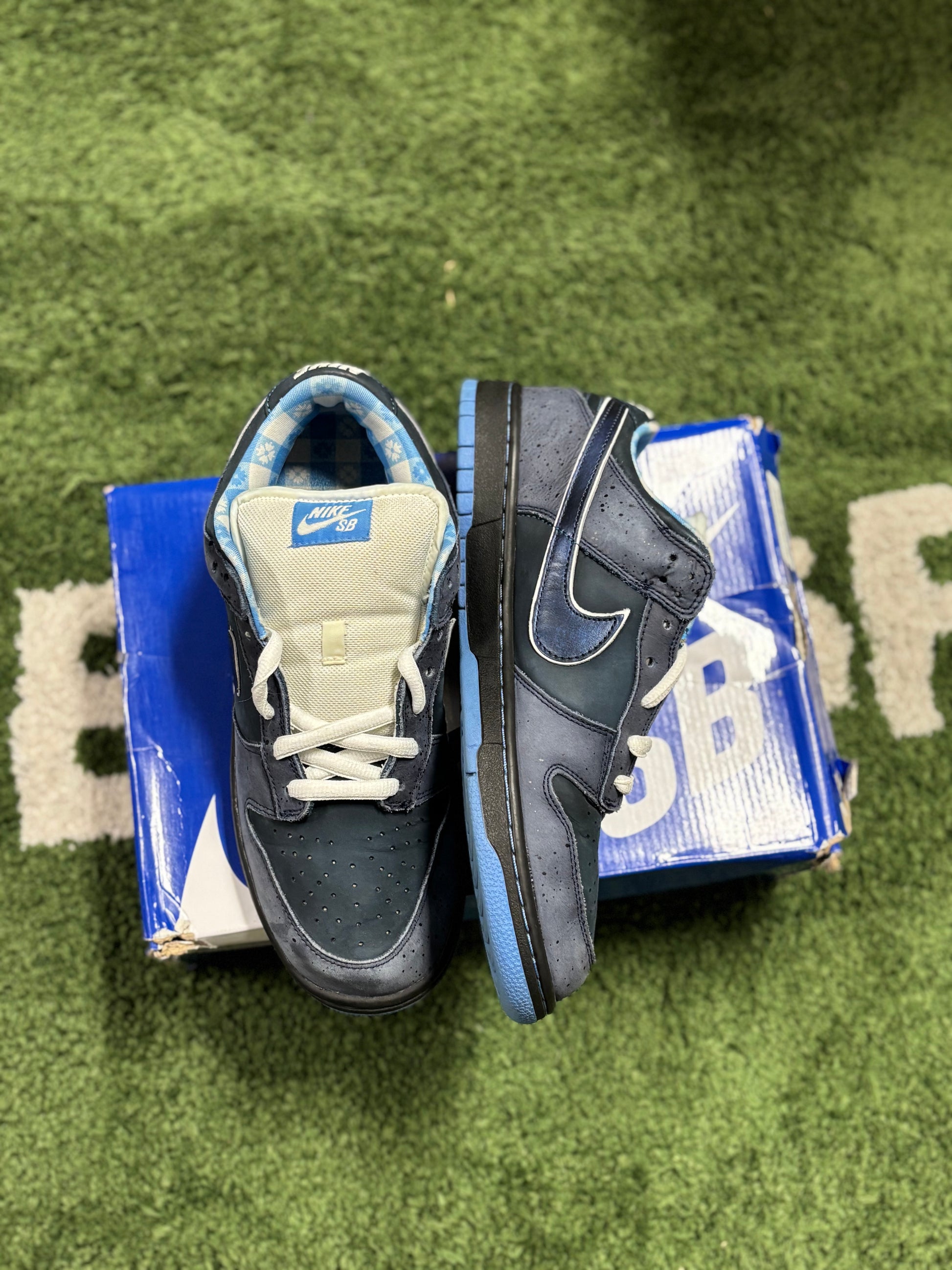 Nike SB Dunk Low Concepts Blue Lobster