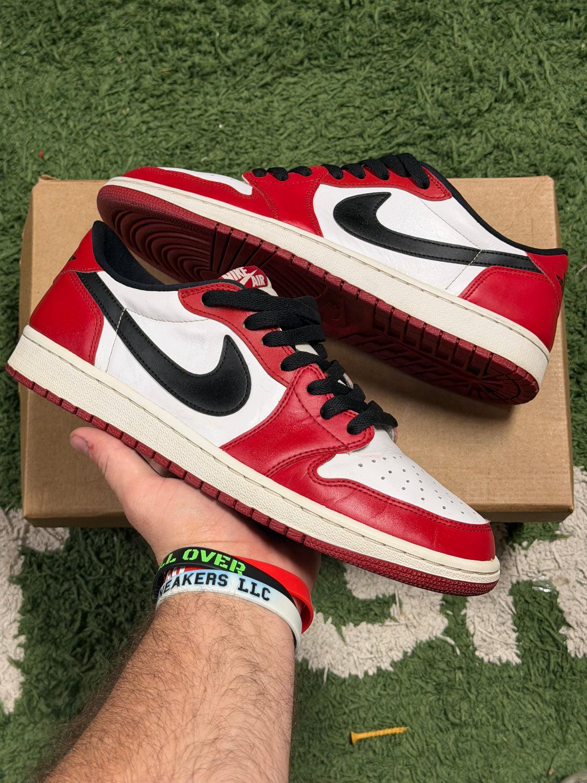 Jordan 1 Retro Low Chicago (2016)