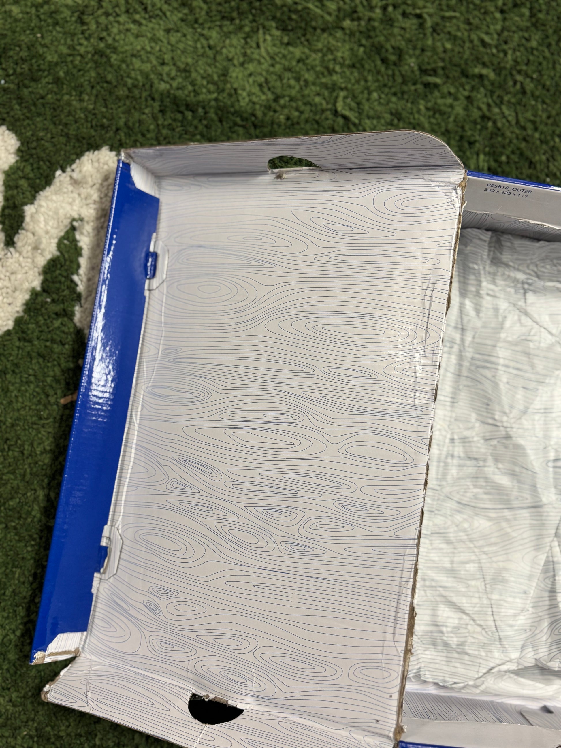 Nike SB Dunk Low Concepts Blue Lobster