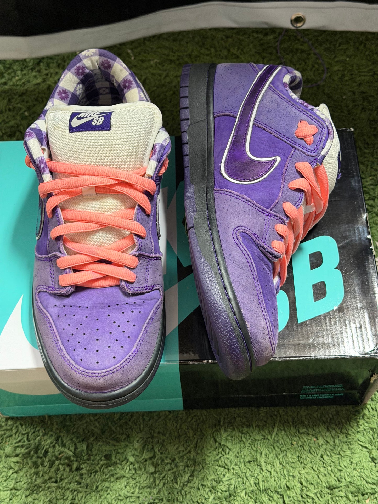 Nike SB Dunk Low Concepts Purple Lobster
