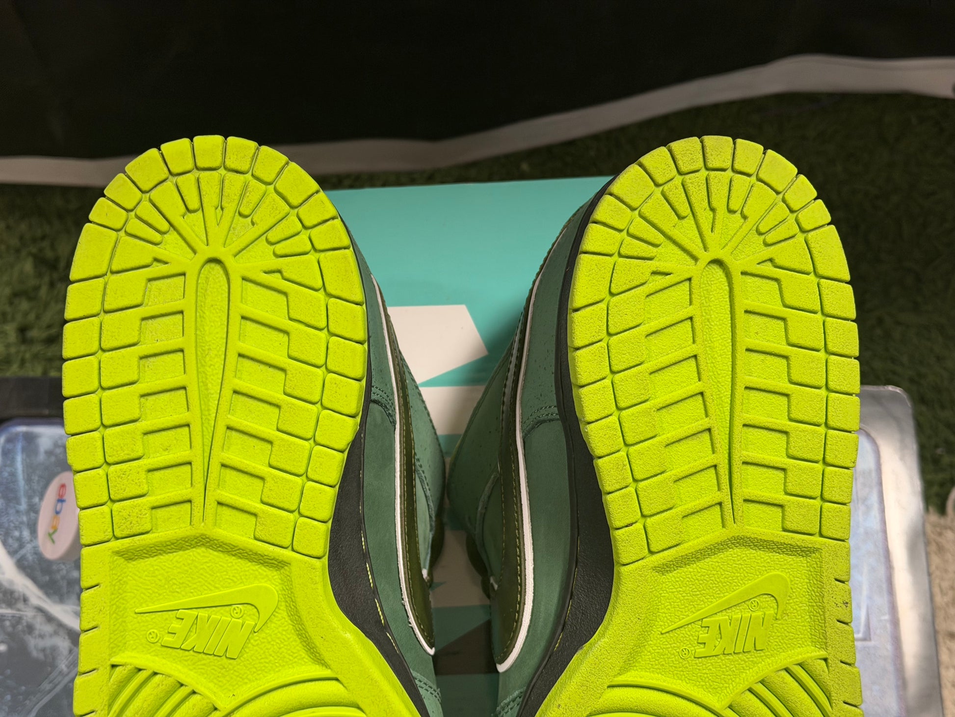 Nike SB Dunk Low Concepts Green Lobster (Special Box)