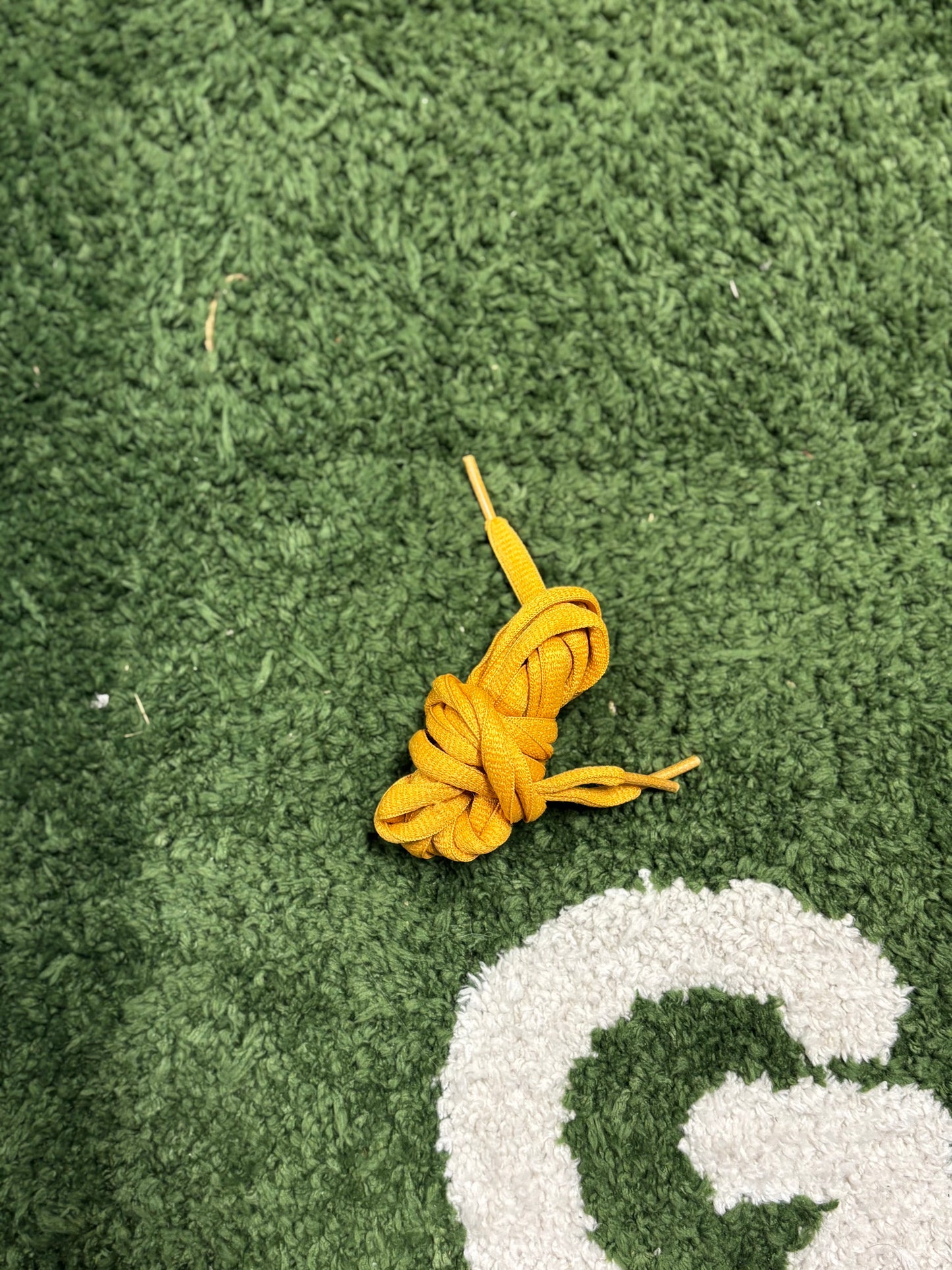 Nike SB Dunk Low Iowa