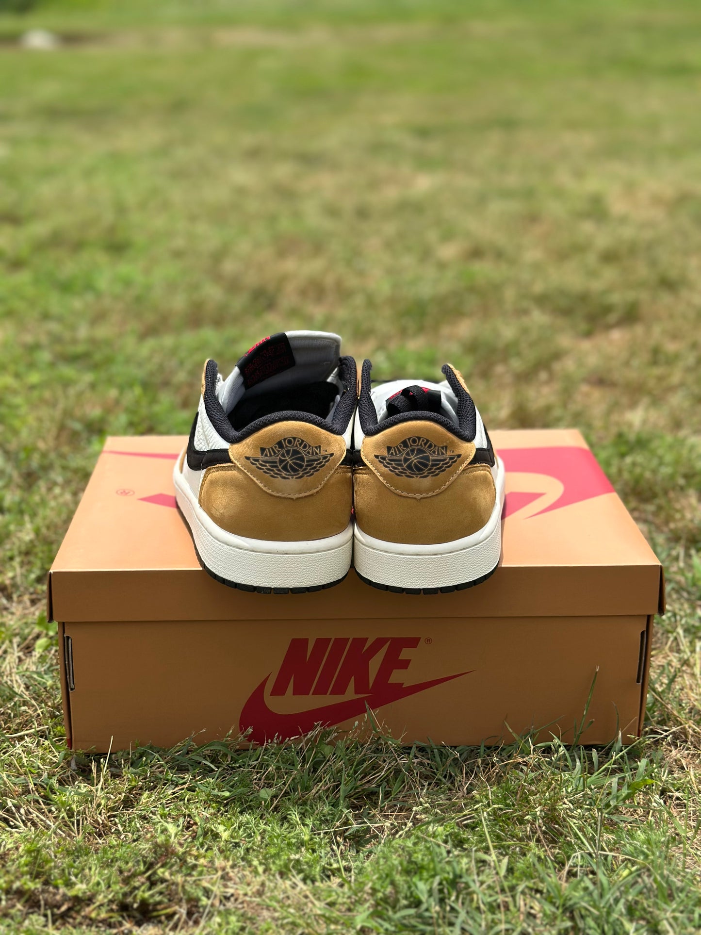 Jordan 1 Low “Rookie of the Year” Size 9.5M