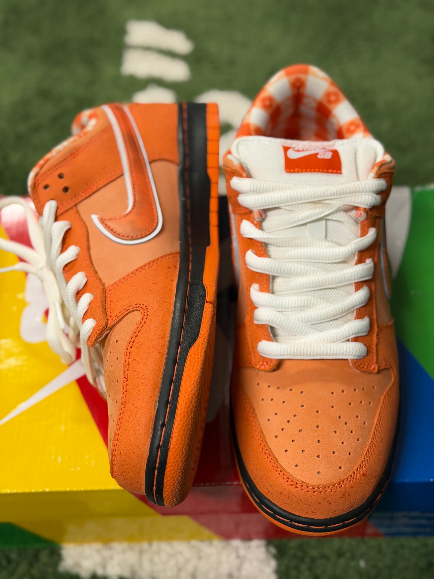 Nike SB Dunk Low Concepts Orange Lobster