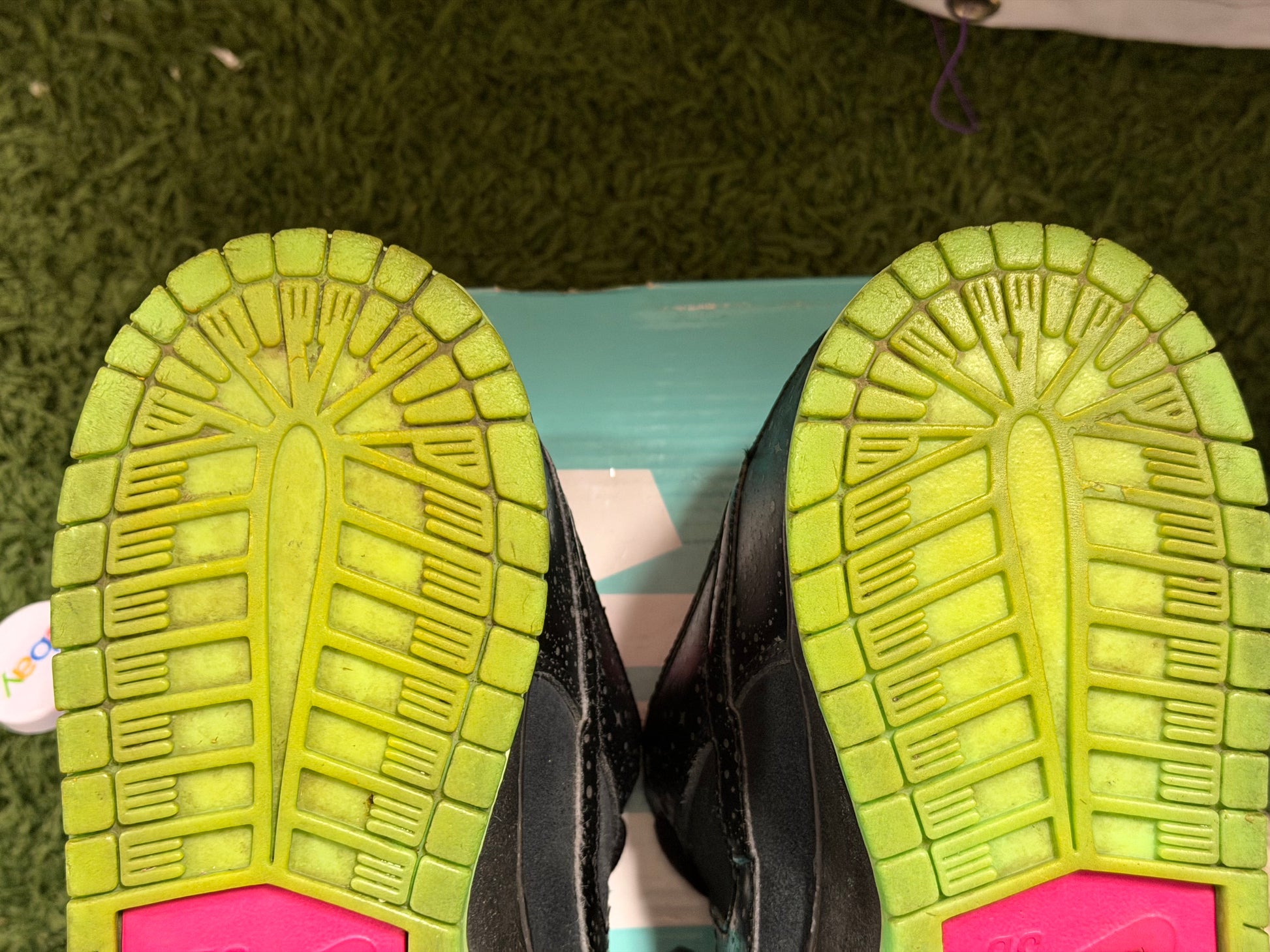 Nike SB Dunk Low Premier Northern Lights