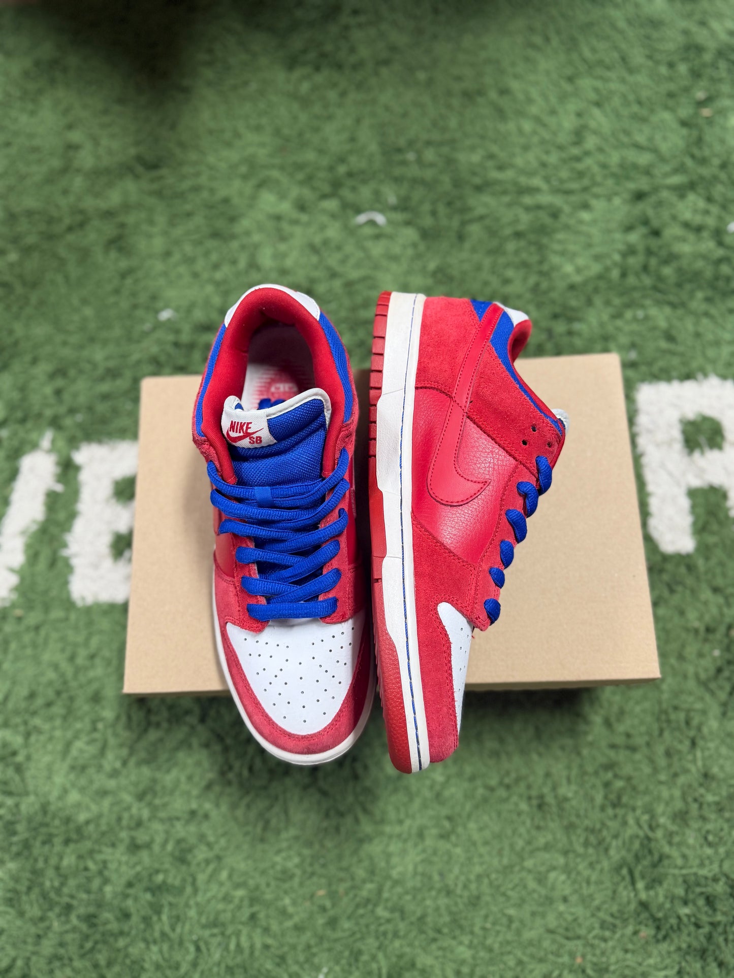 Nike Dunk low Pro SB Red/Royal