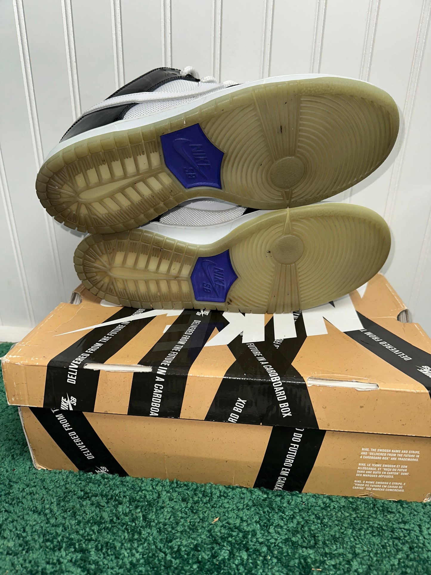 Nike SB Dunk low concord (10M)