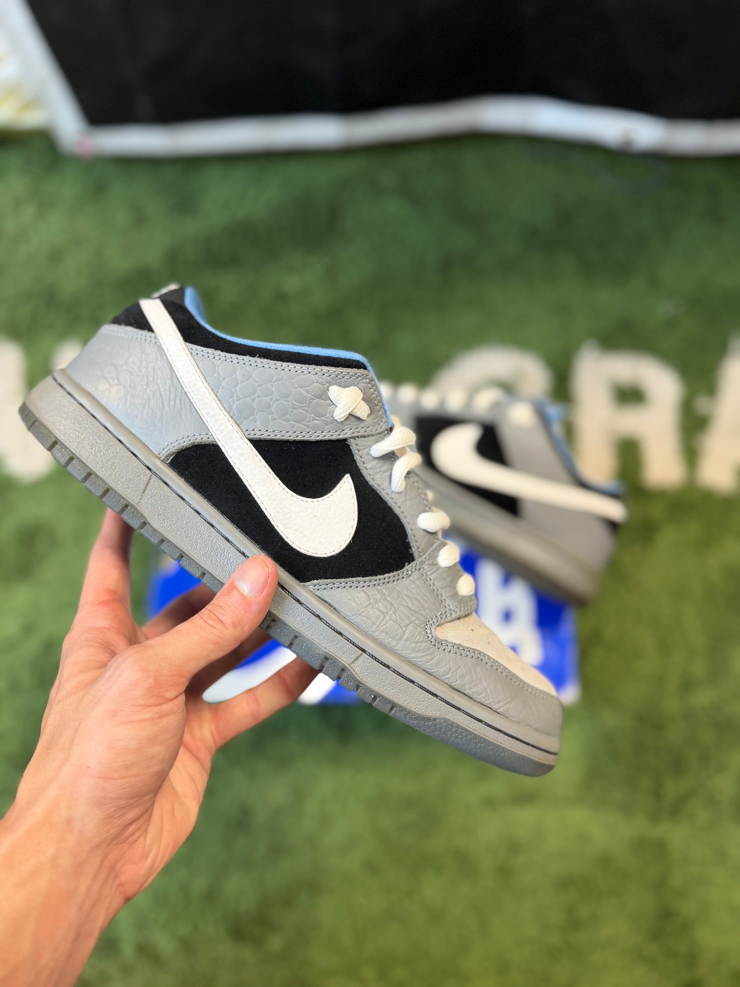 Nike SB Dunk Low Petoskey Premier