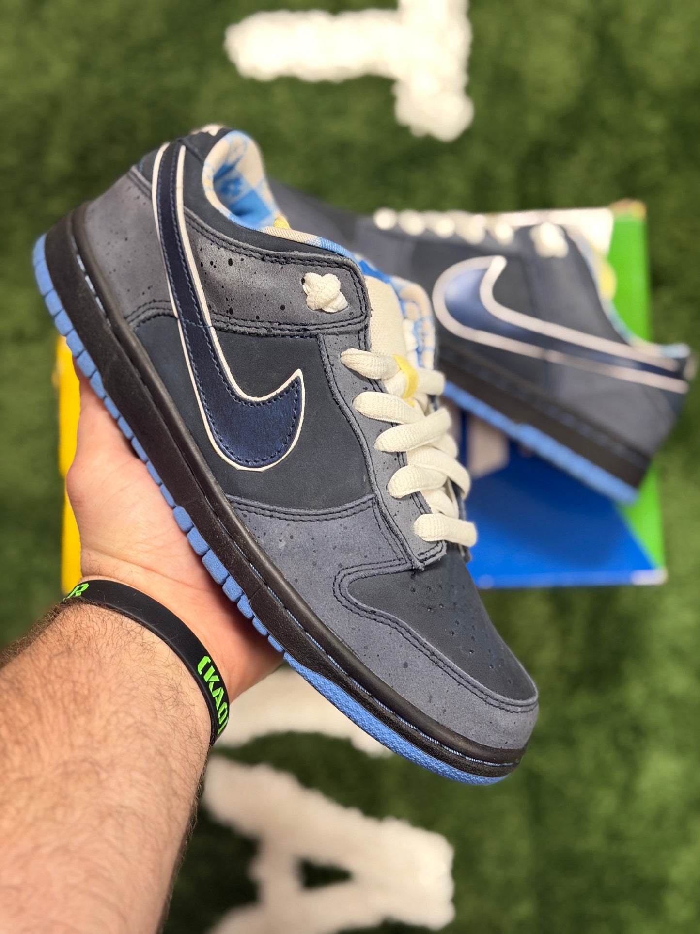 Nike SB Dunk Low Concepts Blue Lobster