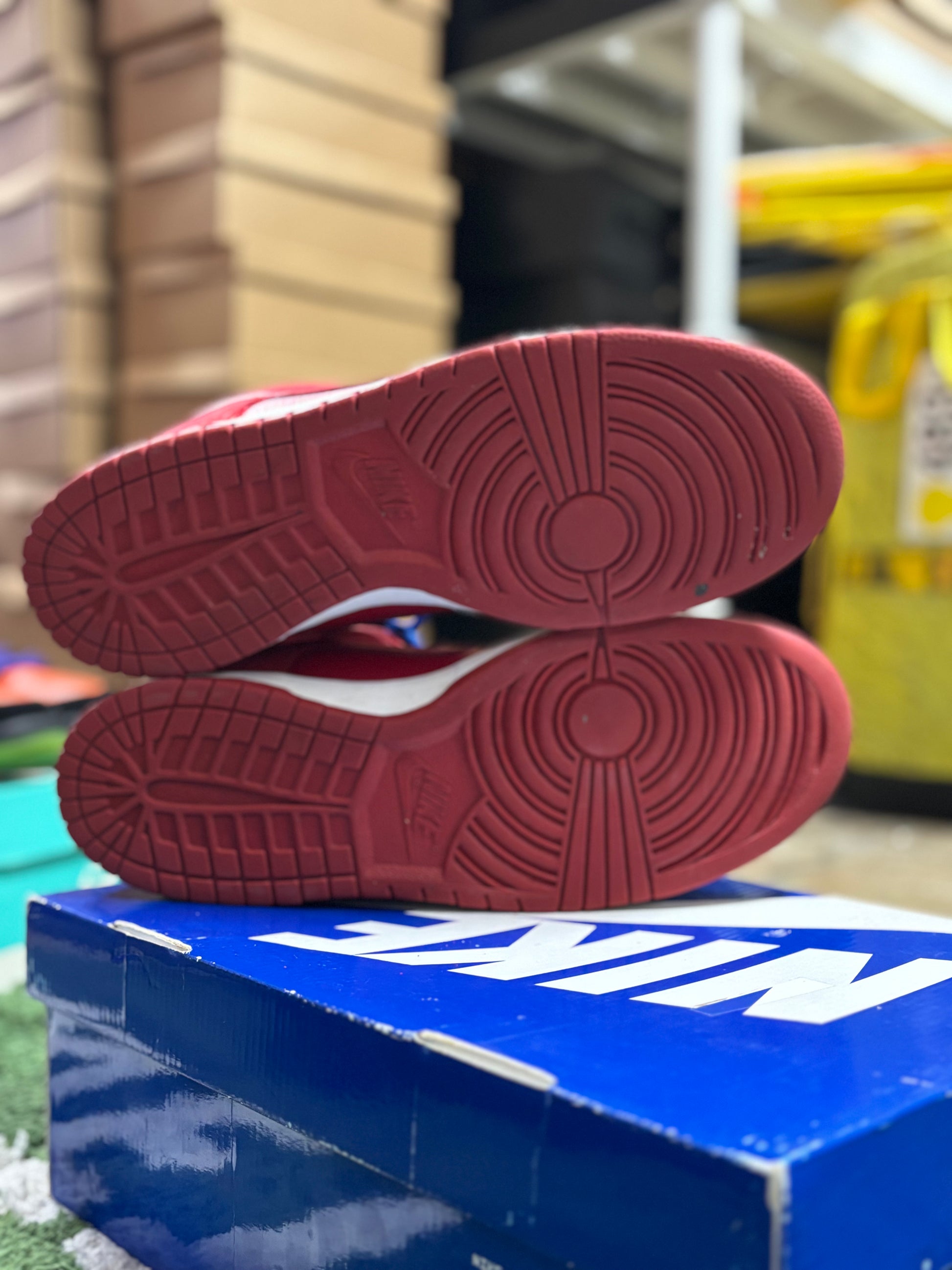 Nike Dunk Low Pro Sb Red/Royal