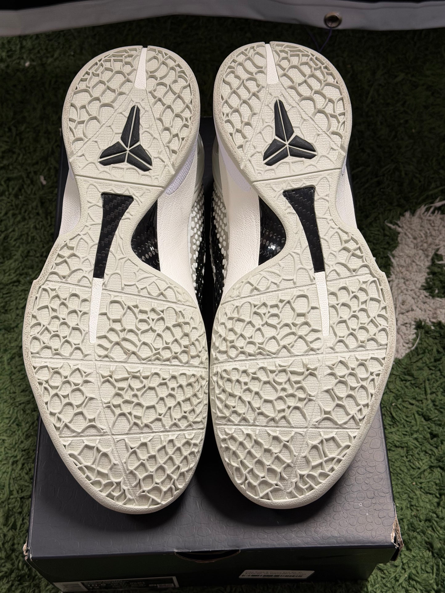 Nike Kobe 6 Protro Sail All-Star