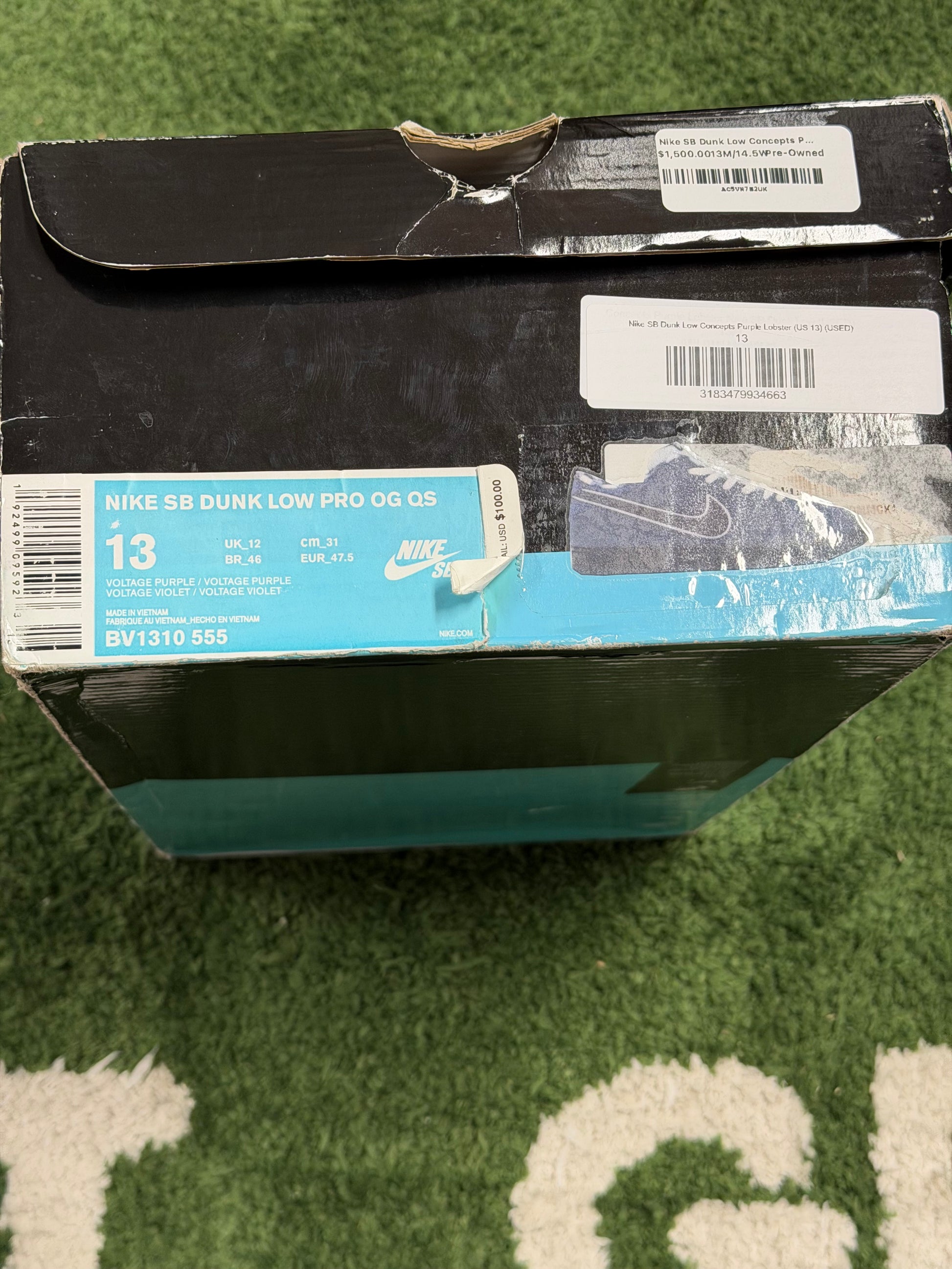 Nike SB Dunk Low Concepts Purple Lobster