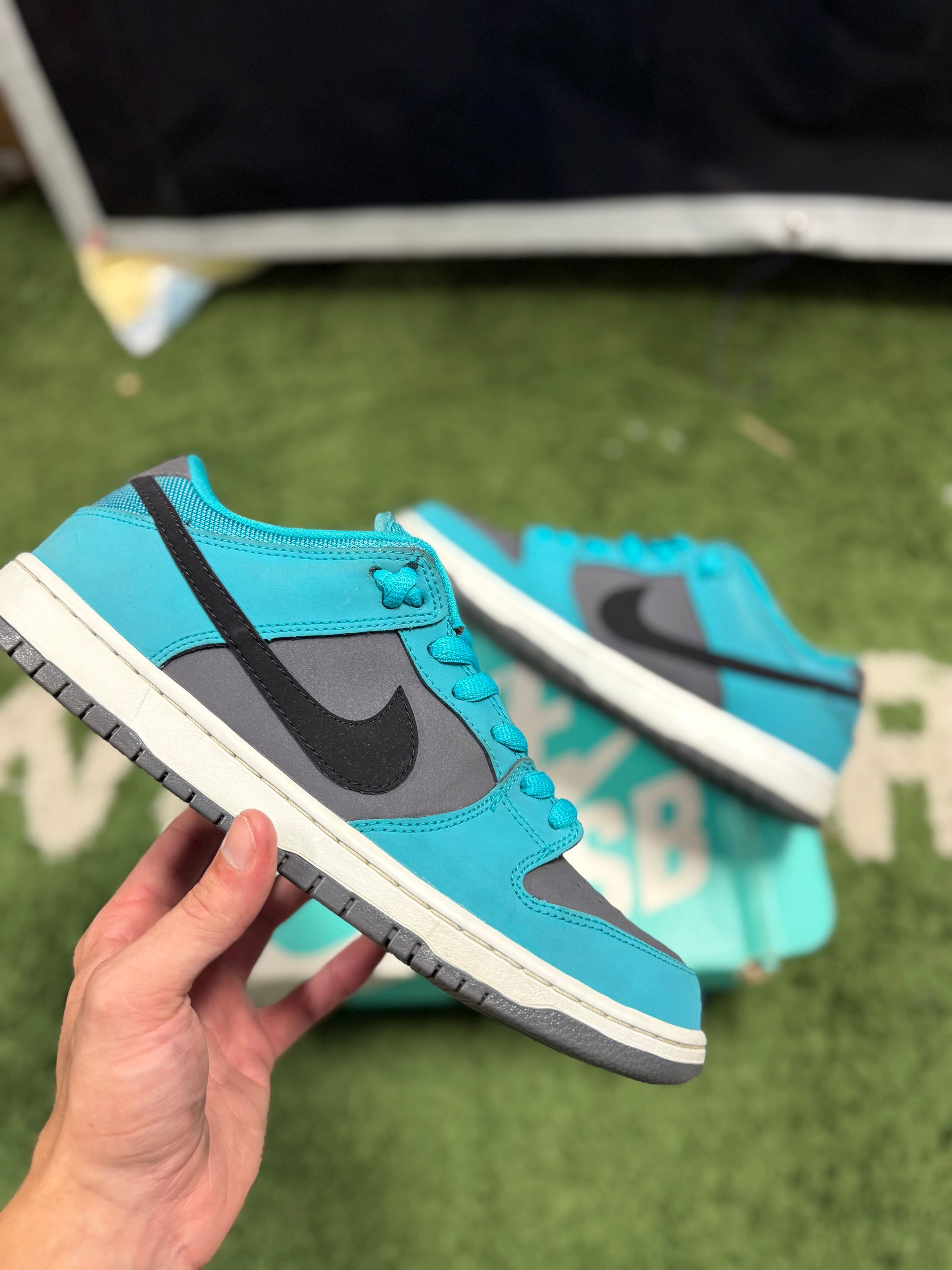 Nike SB Dunk Low Dusty Cactus