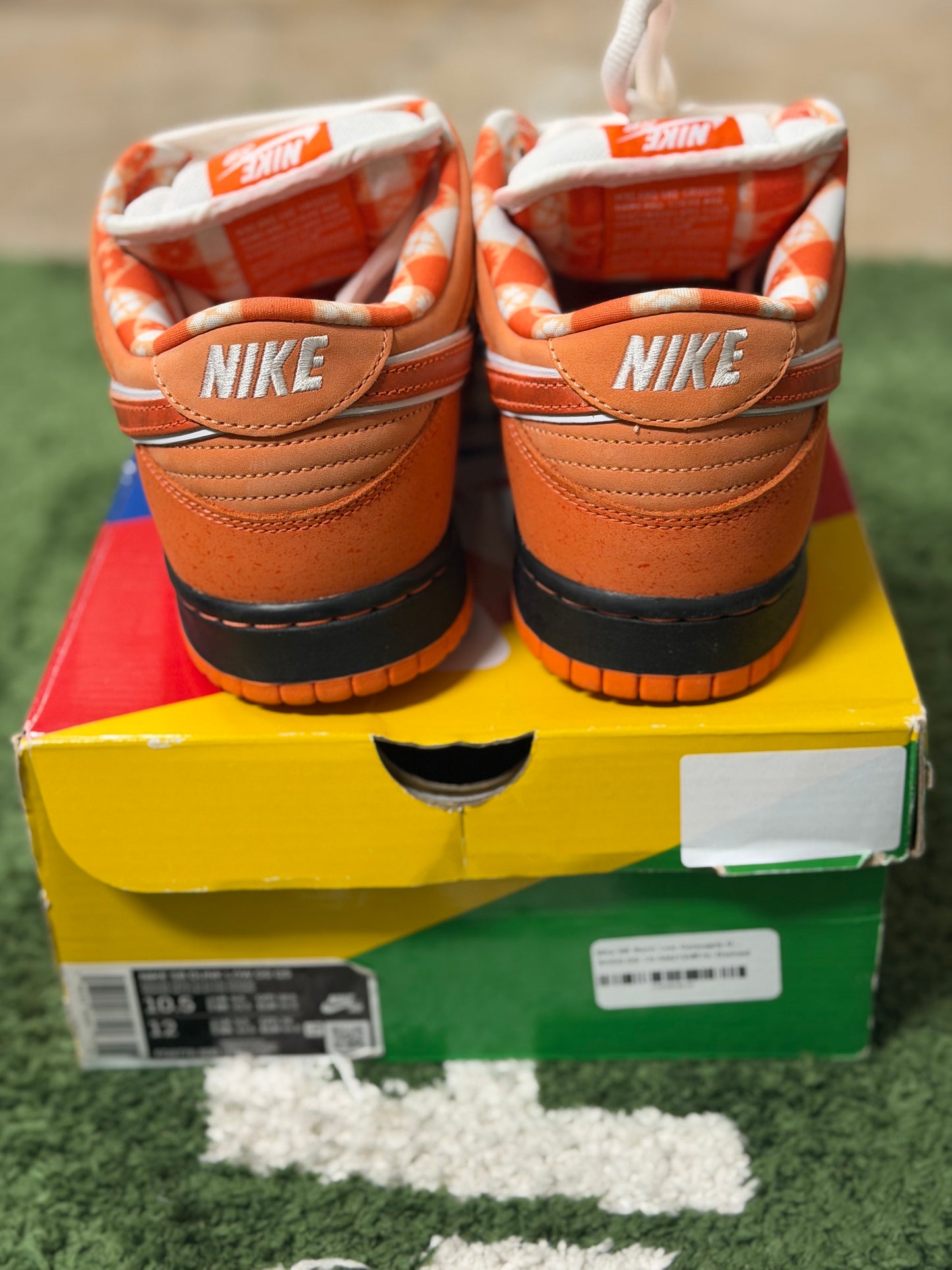 Nike SB Dunk Low Concepts Orange Lobster