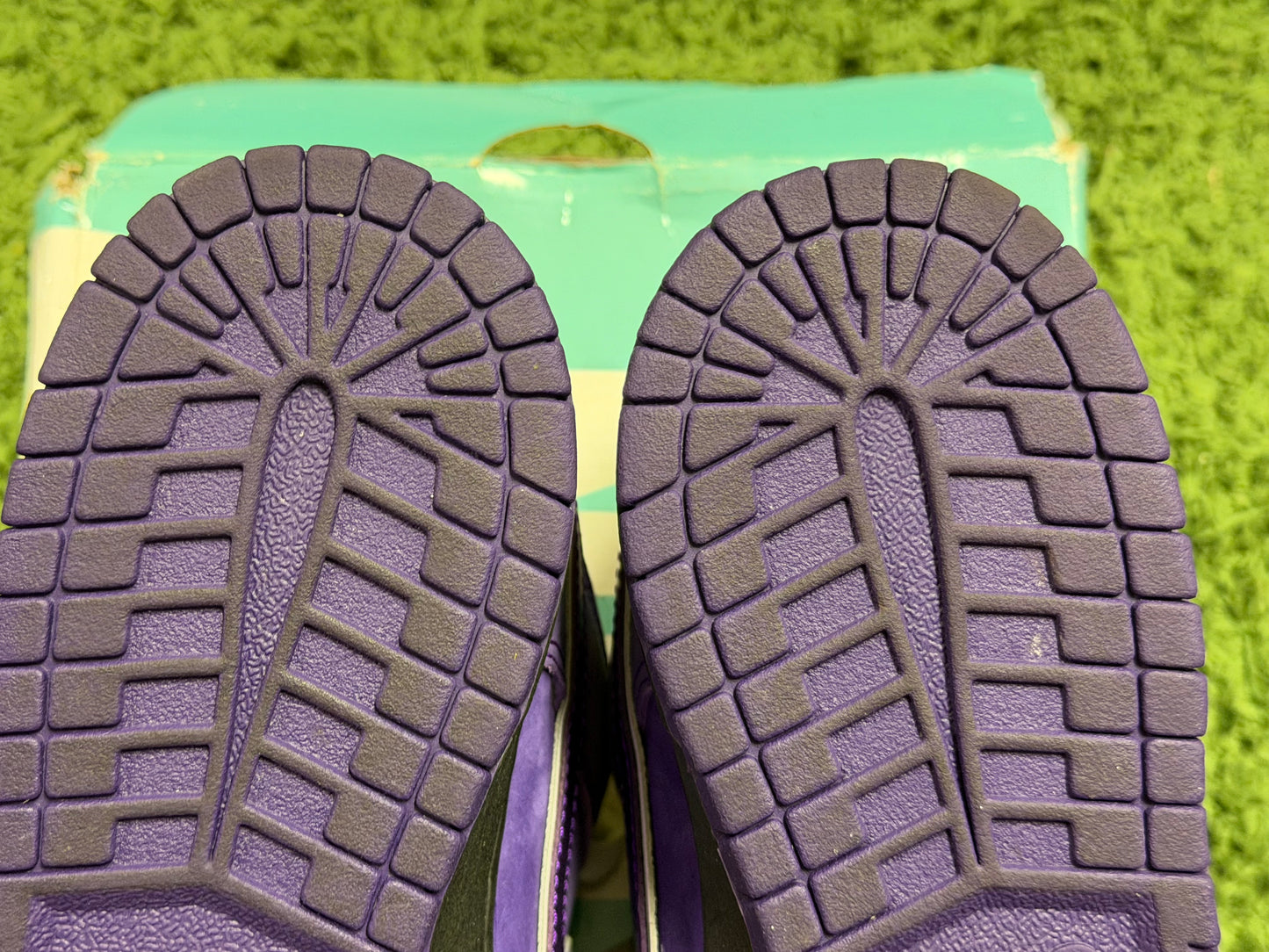 Nike SB Dunk Low Concepts Purple Lobster
