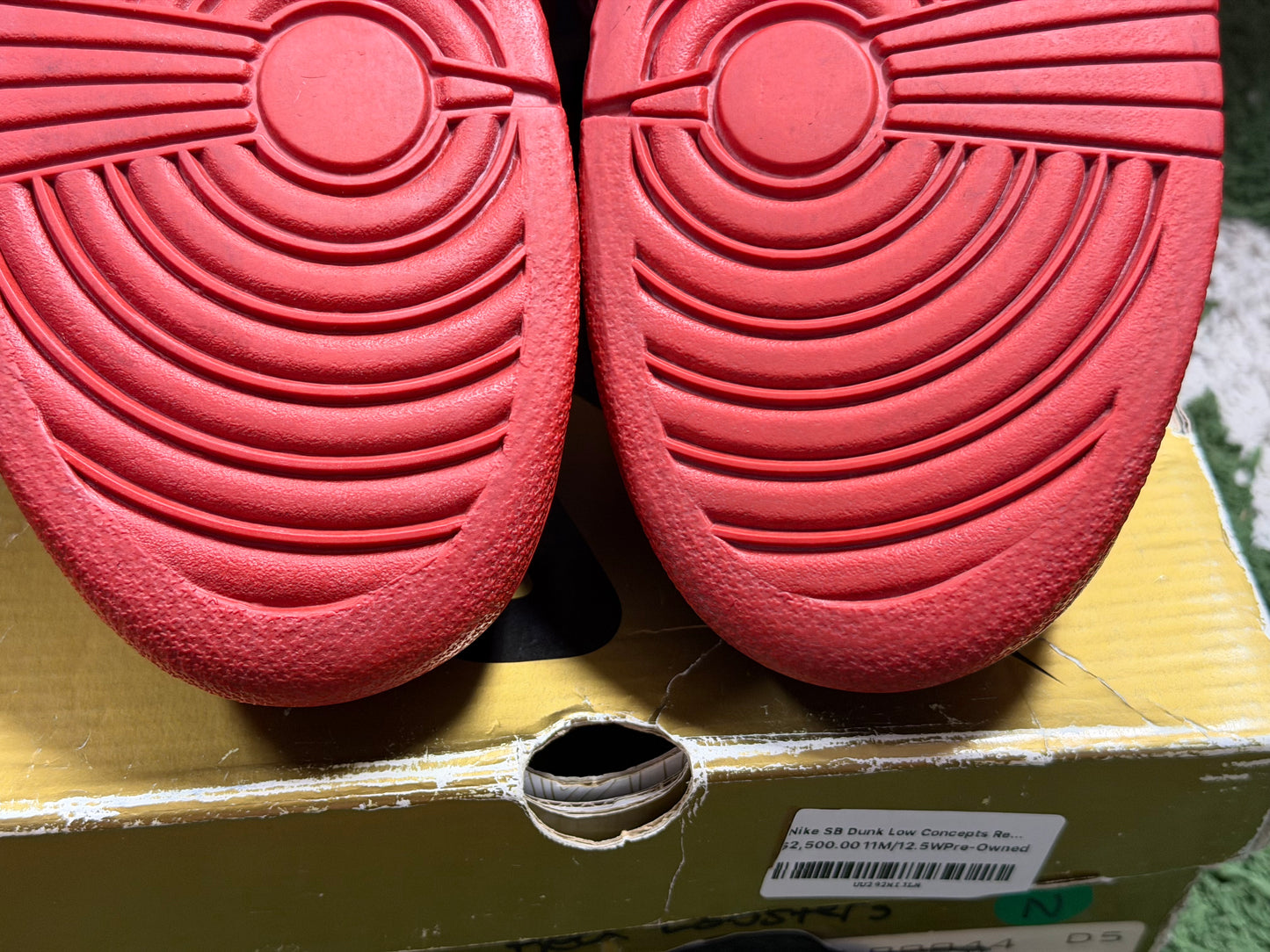 Nike SB Dunk Low Concepts Red Lobster