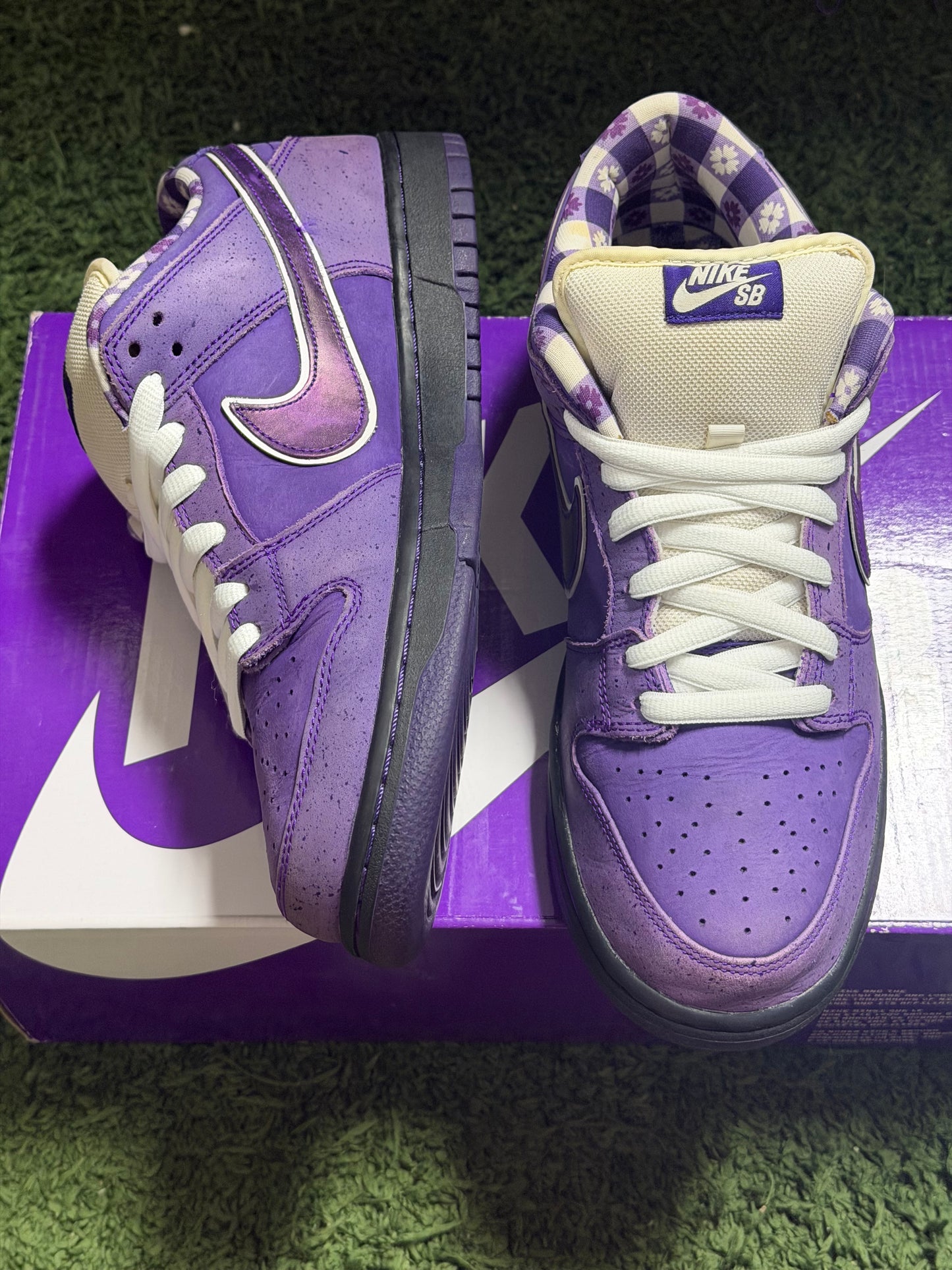 Nike SB Dunk Low Concepts Purple Lobster
