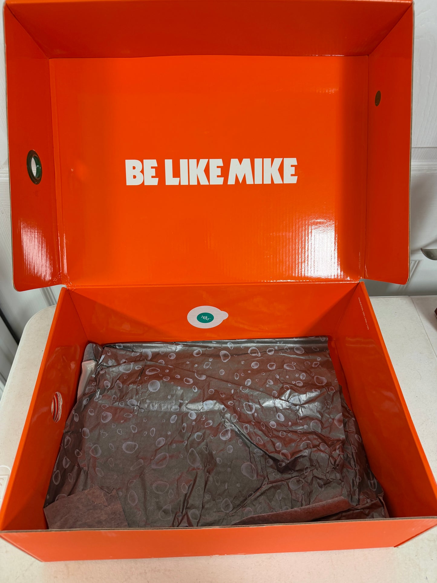 Jordan 6 Retro Gatorade Green