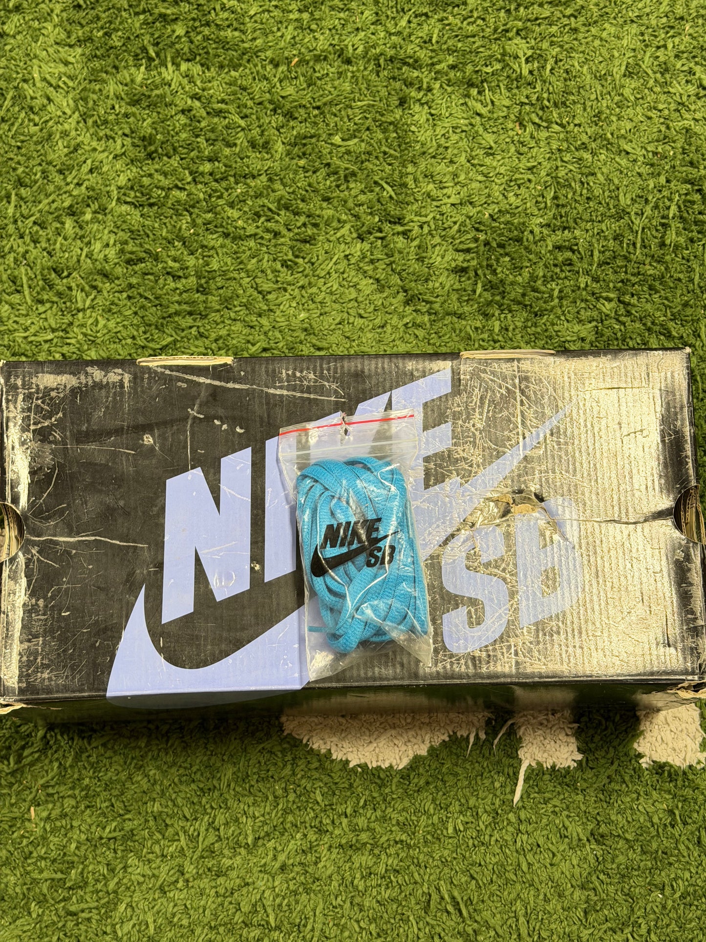 Nike SB Dunk Low Baby Bear