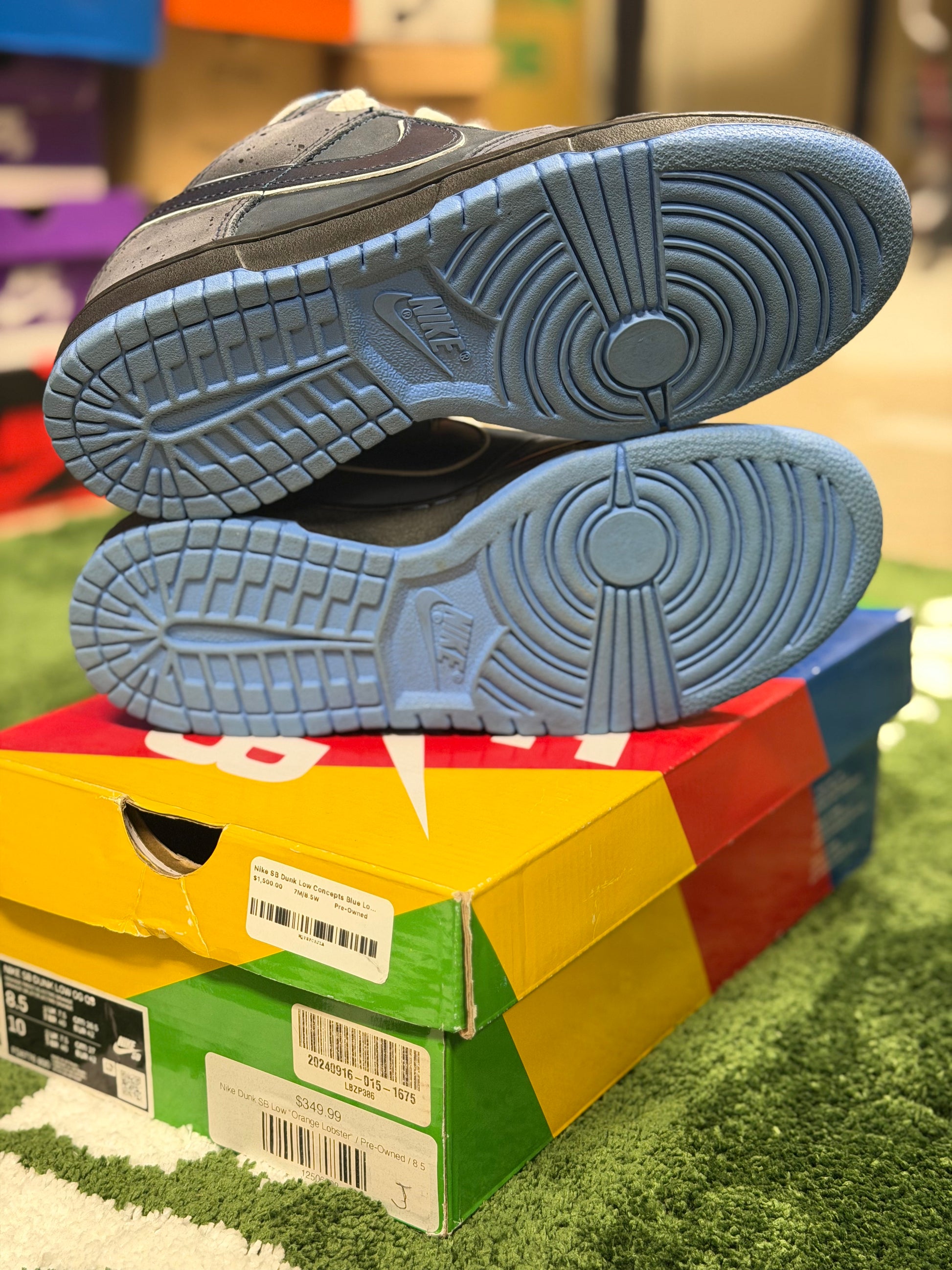 Nike SB Dunk Low Concepts Blue Lobster