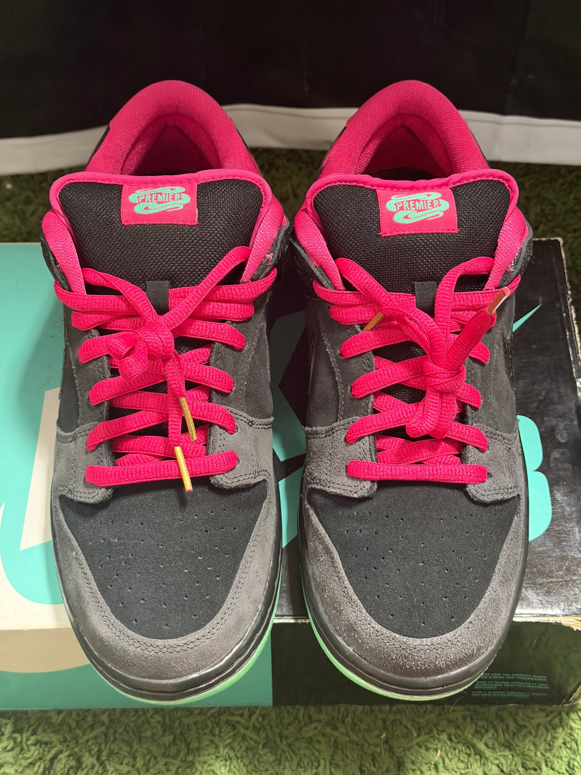 Nike SB Dunk Low Premier Northern Lights