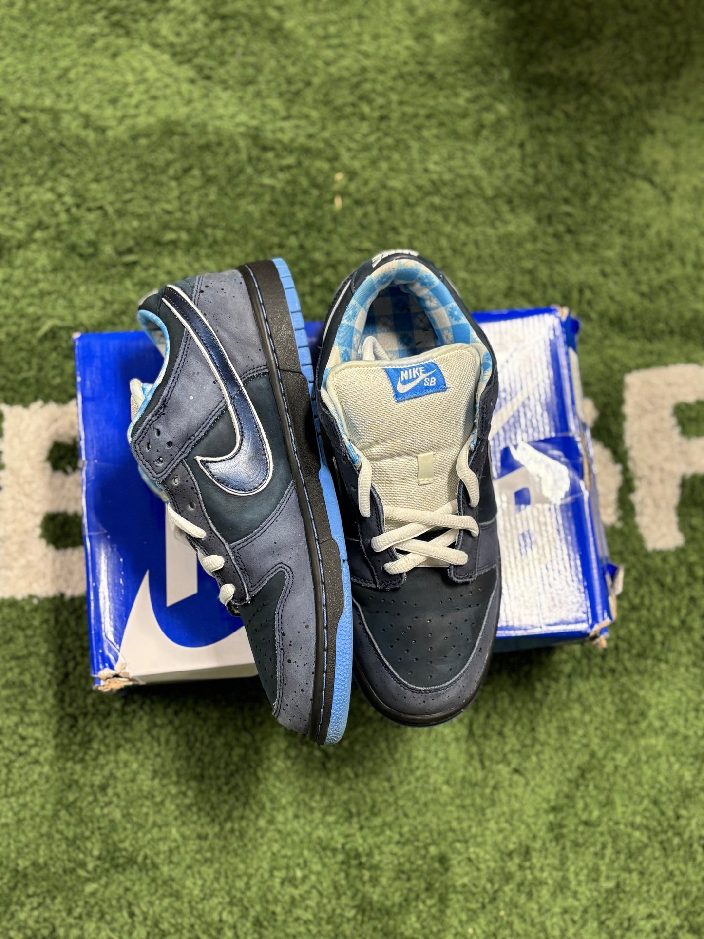 Nike SB Dunk Low Concepts Blue Lobster