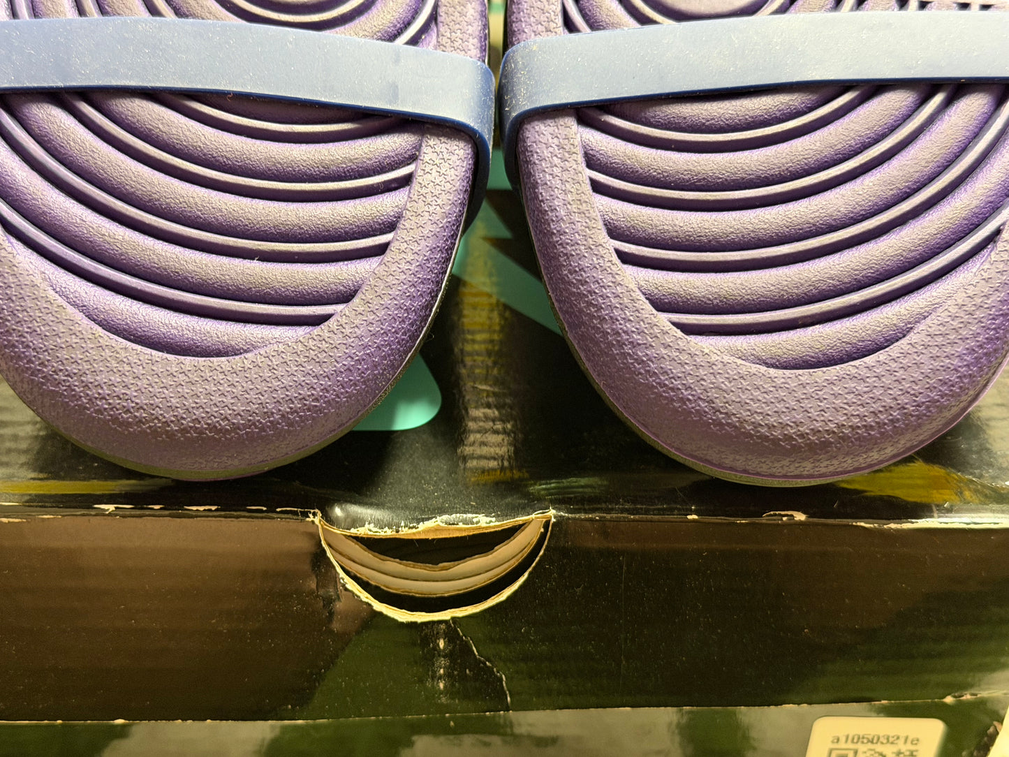 Nike SB Dunk Low Concepts Purple Lobster
