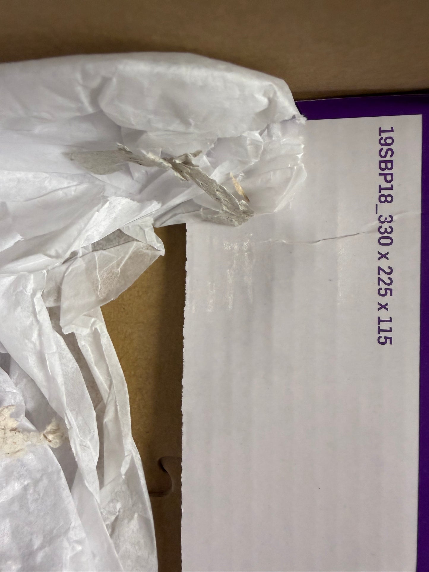 Nike SB Dunk Low Fast Times