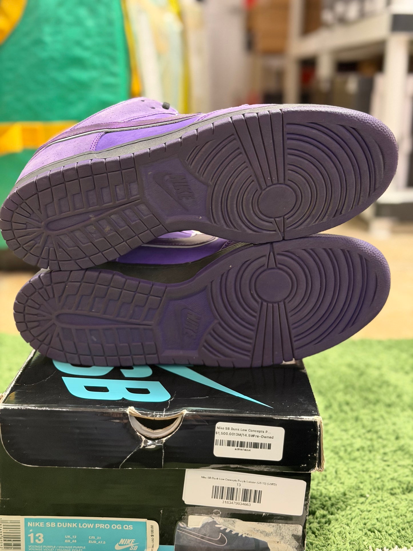 Nike SB Dunk Low Concepts Purple Lobster