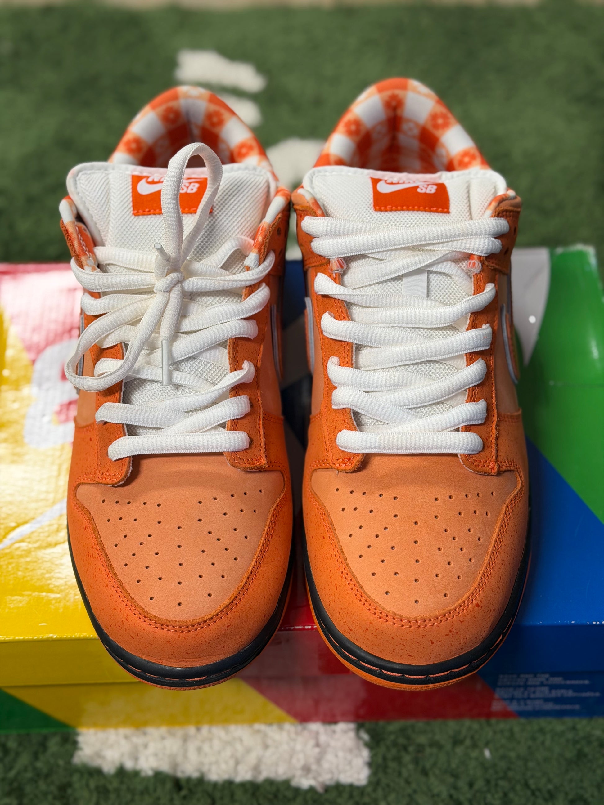 Nike SB Dunk Low Concepts Orange Lobster