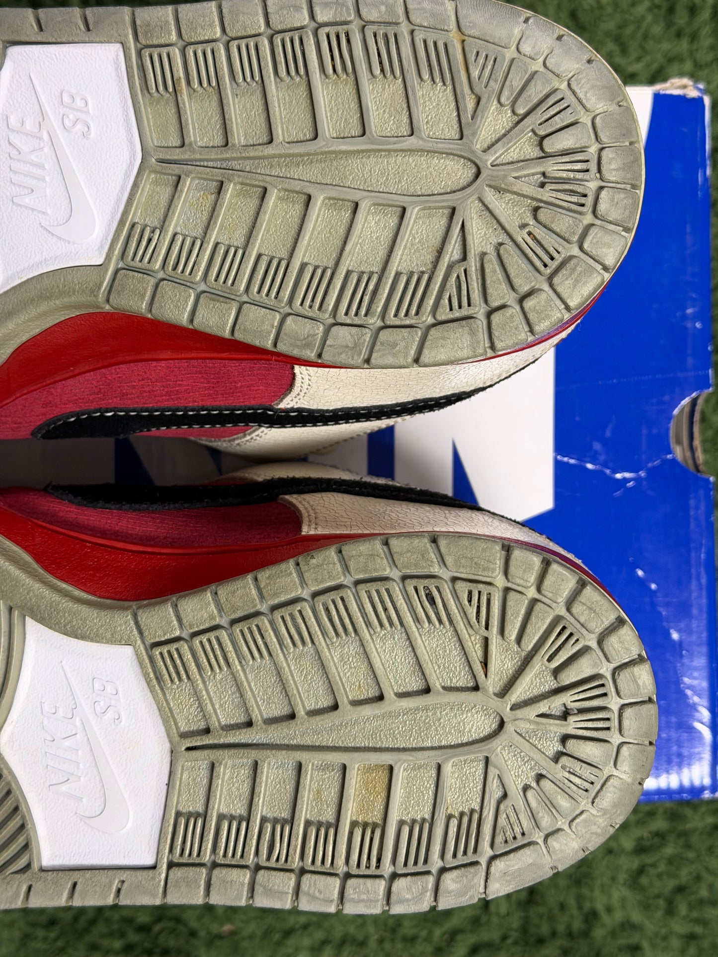 Nike SB Dunk Low Roller Derby