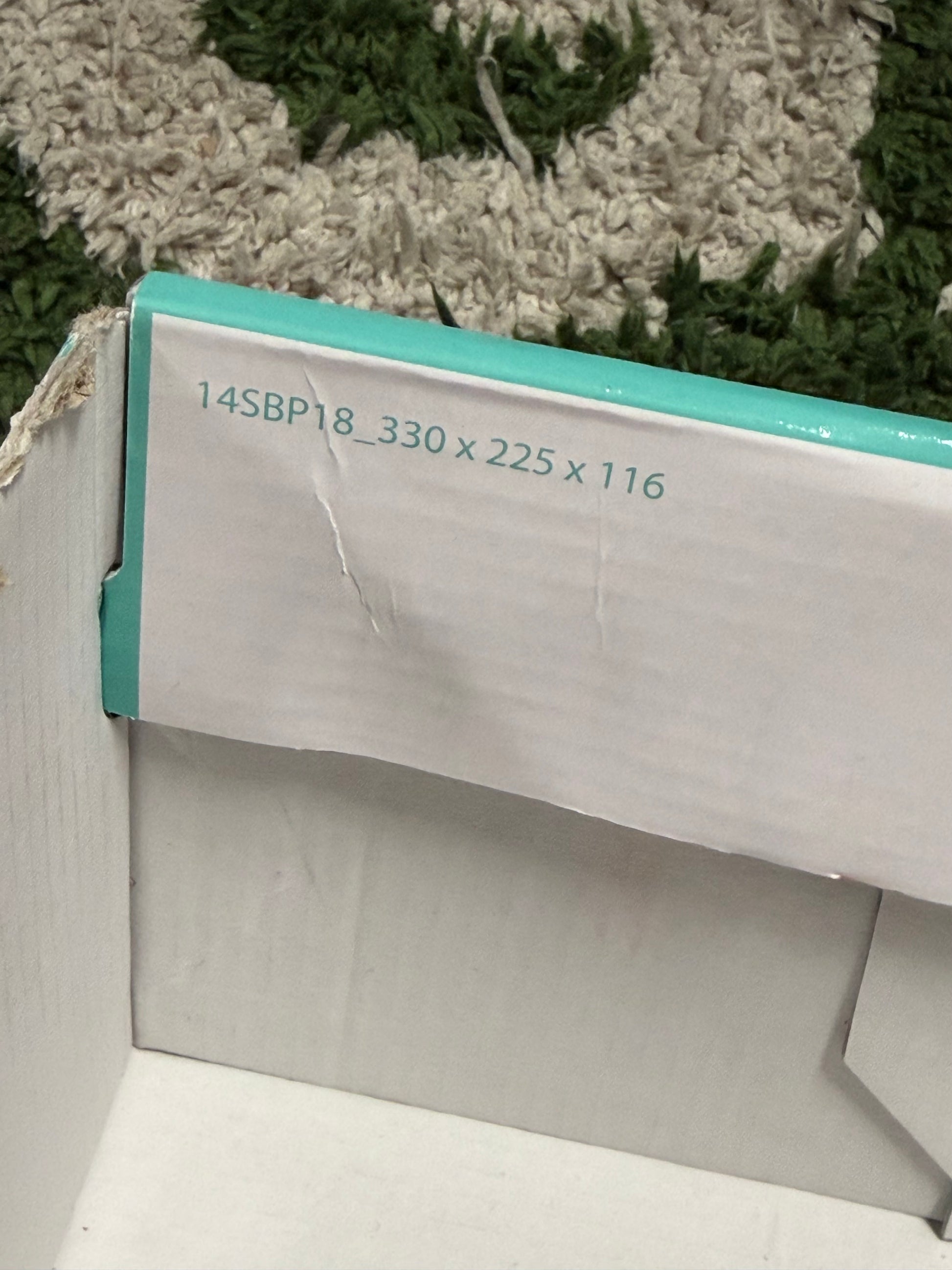 Nike SB Dunk Low Nasty Boys