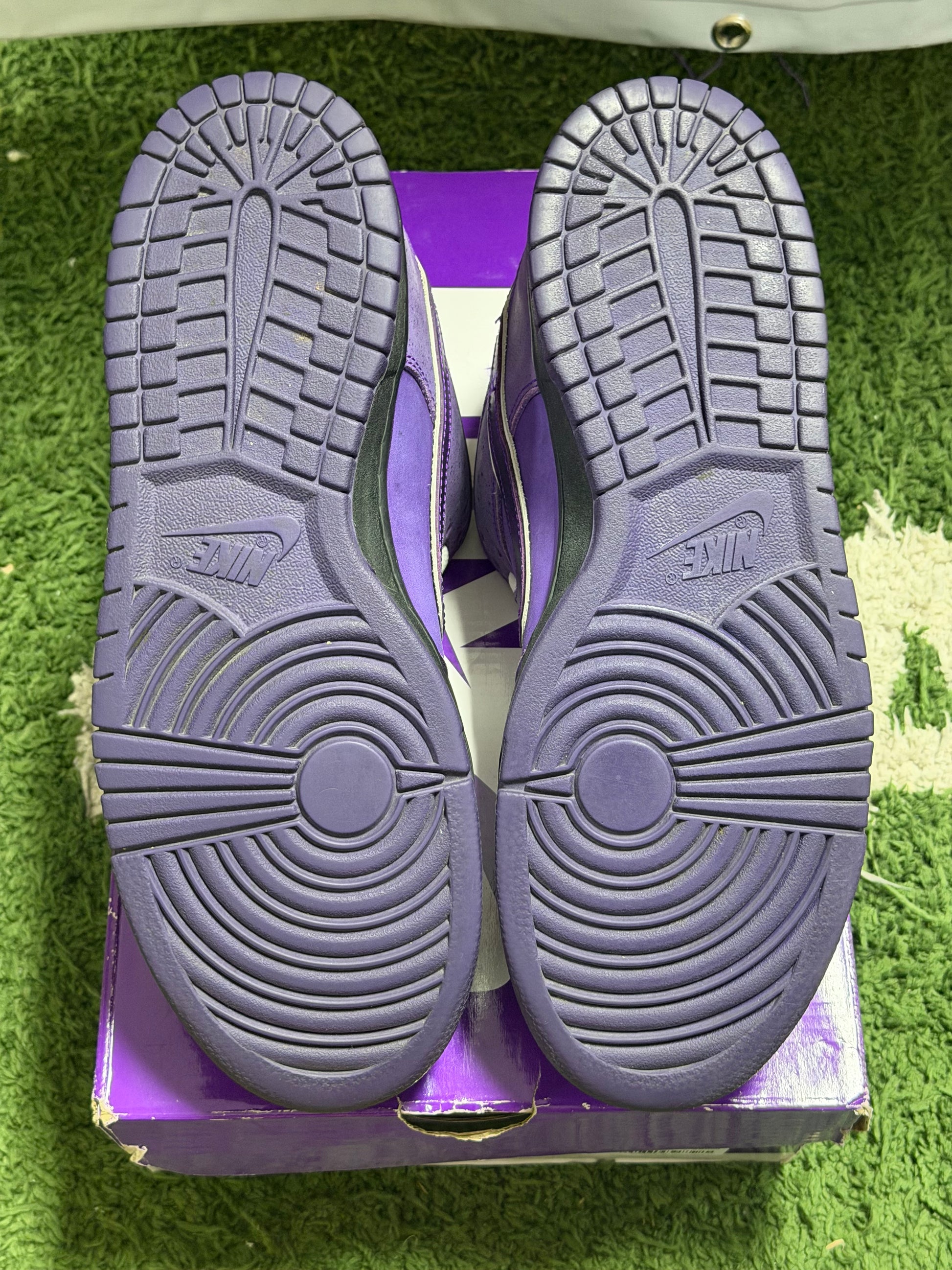 Nike SB Dunk Low Concepts Purple Lobster