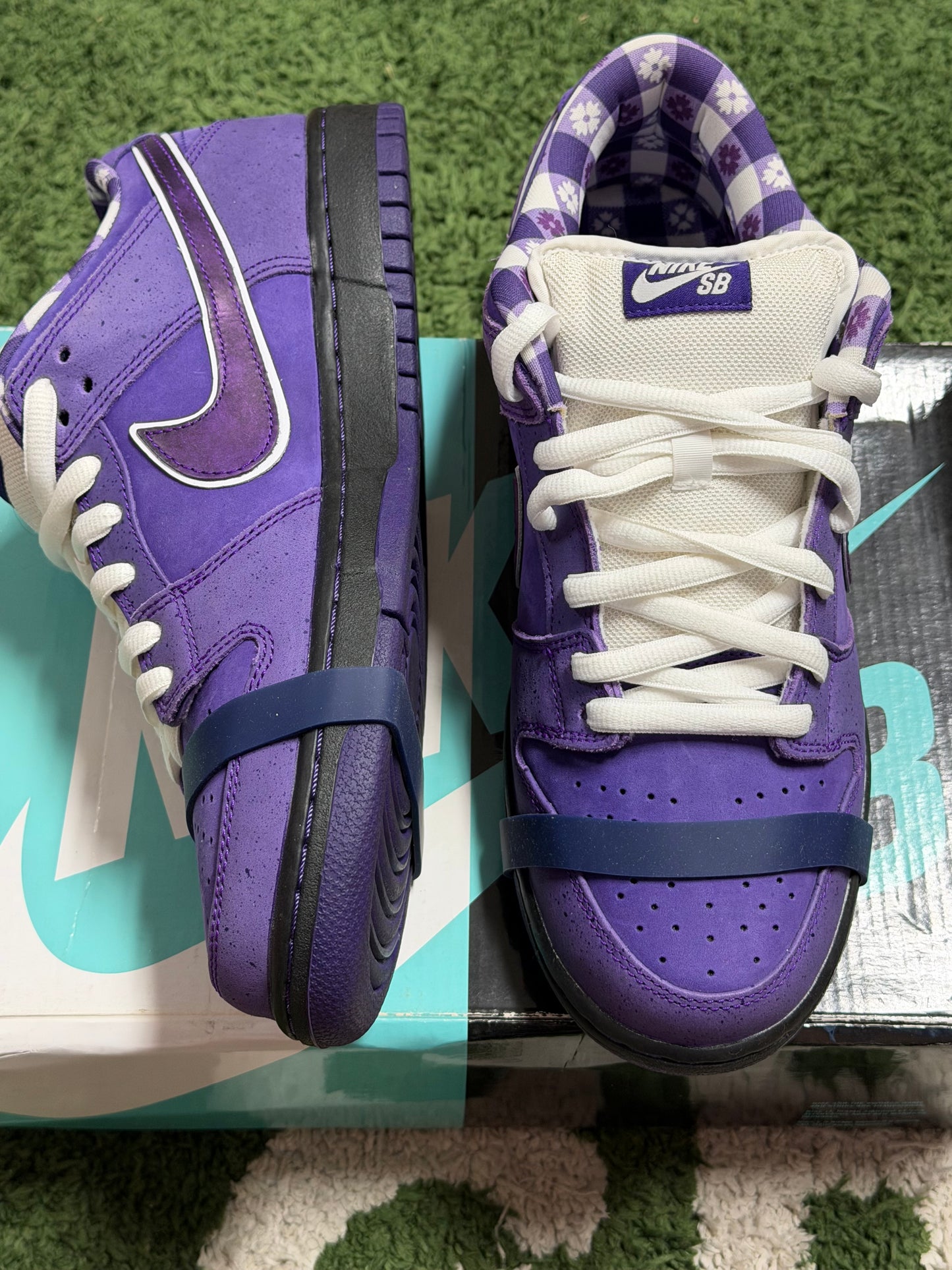 Nike SB Dunk Low Concepts Purple Lobster