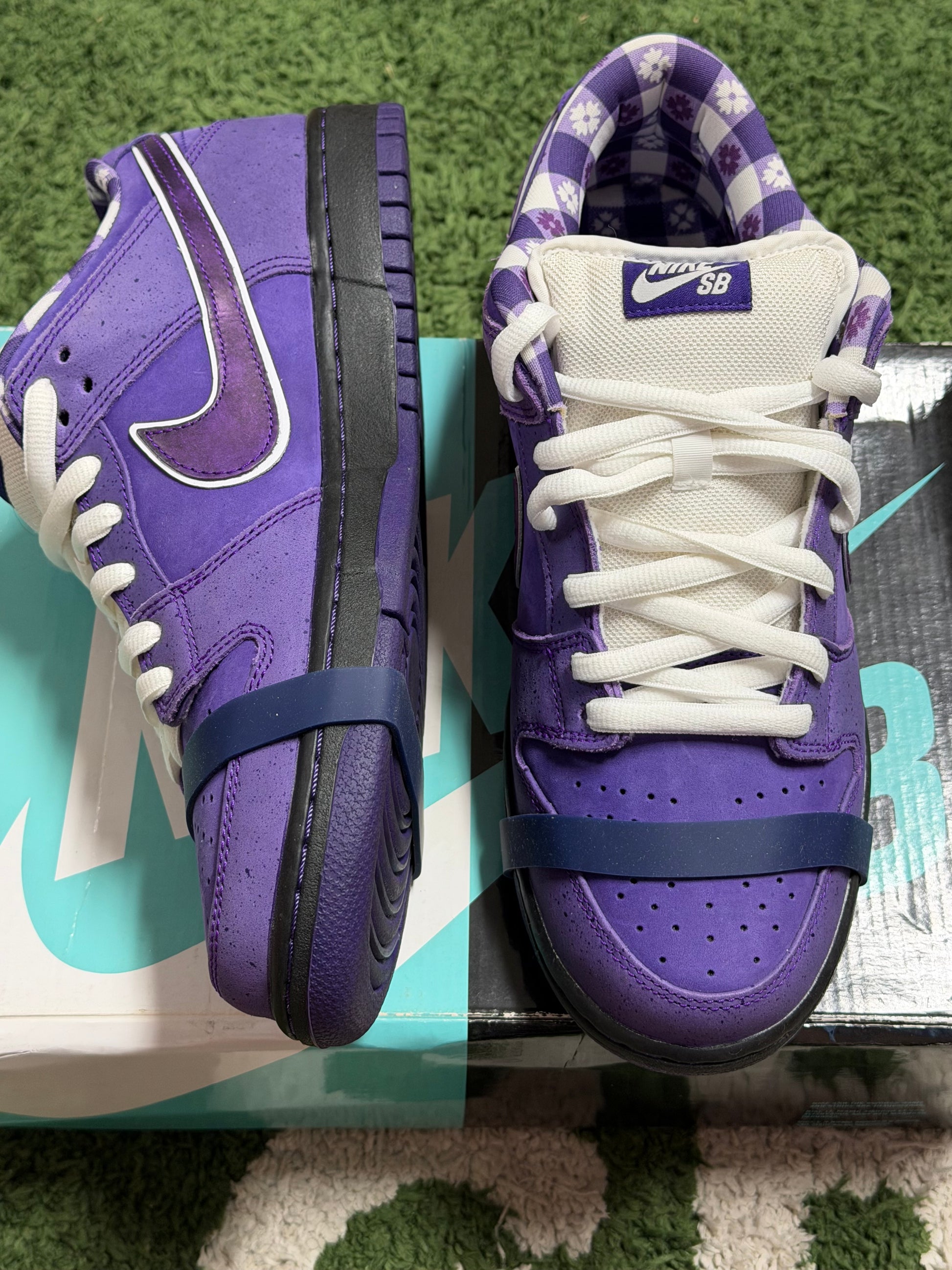 Nike SB Dunk Low Concepts Purple Lobster