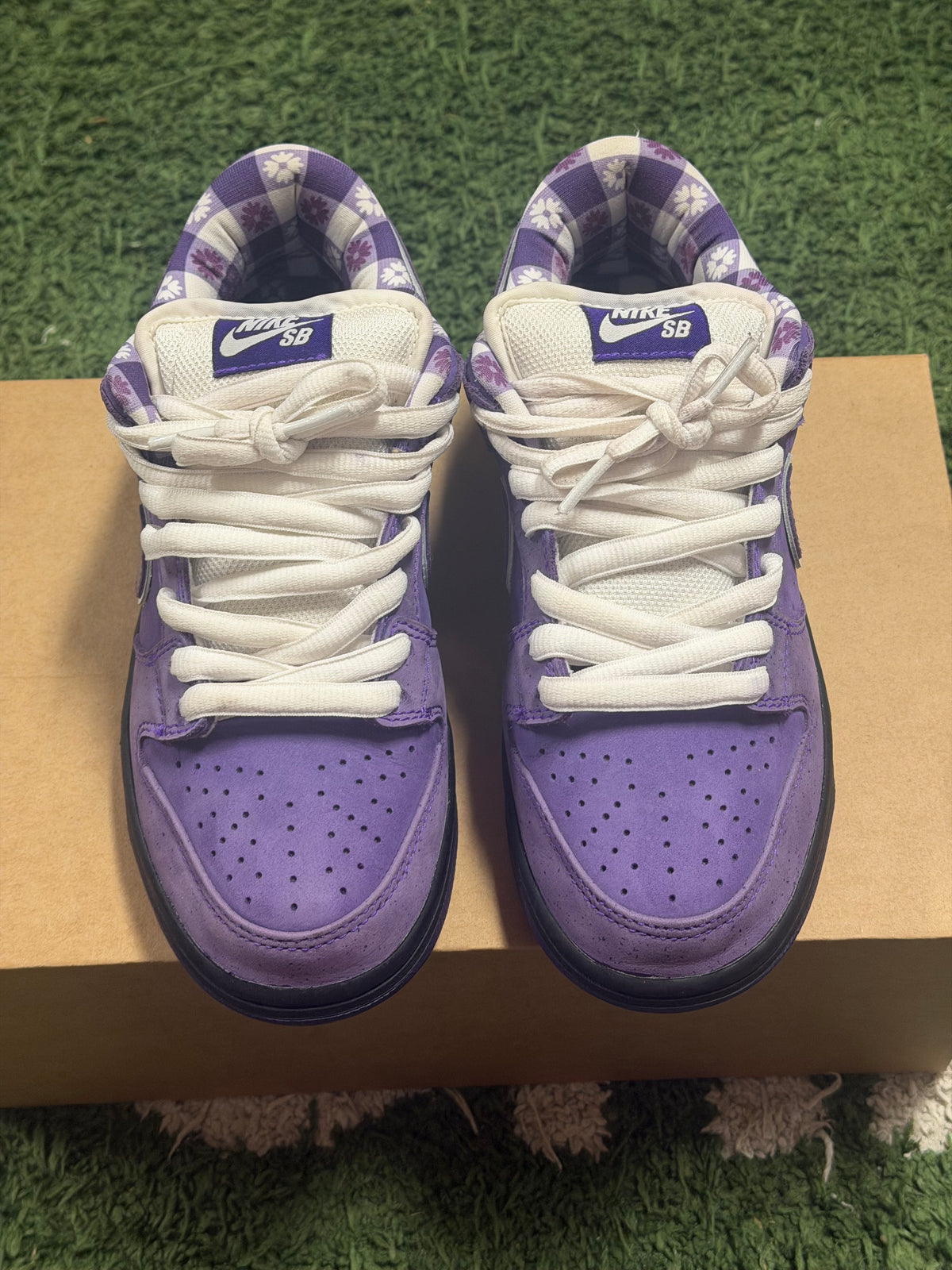 Nike SB Dunk Low Concepts Purple Lobster