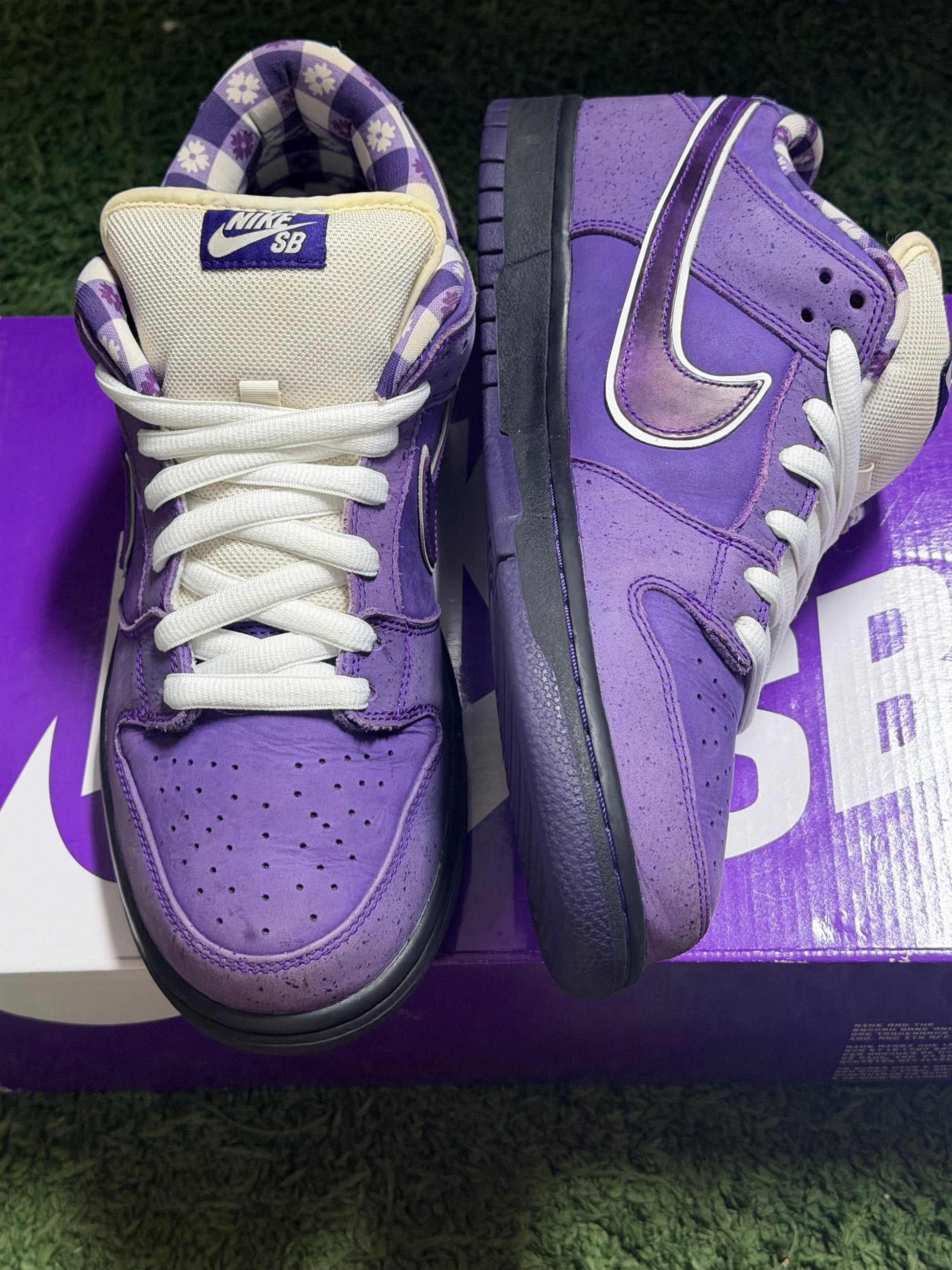 Nike SB Dunk Low Concepts Purple Lobster