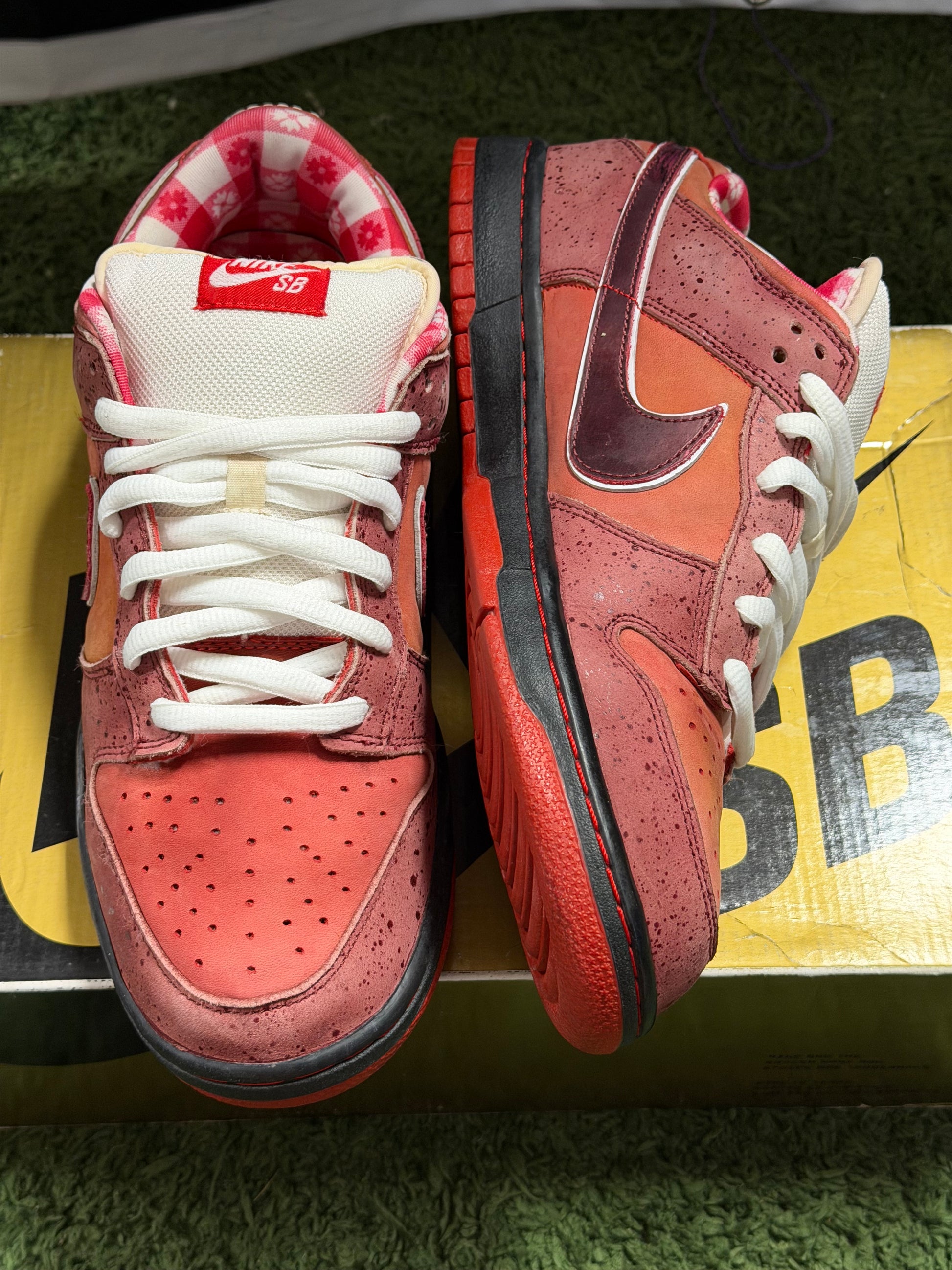 Nike SB Dunk Low Concepts Red Lobster