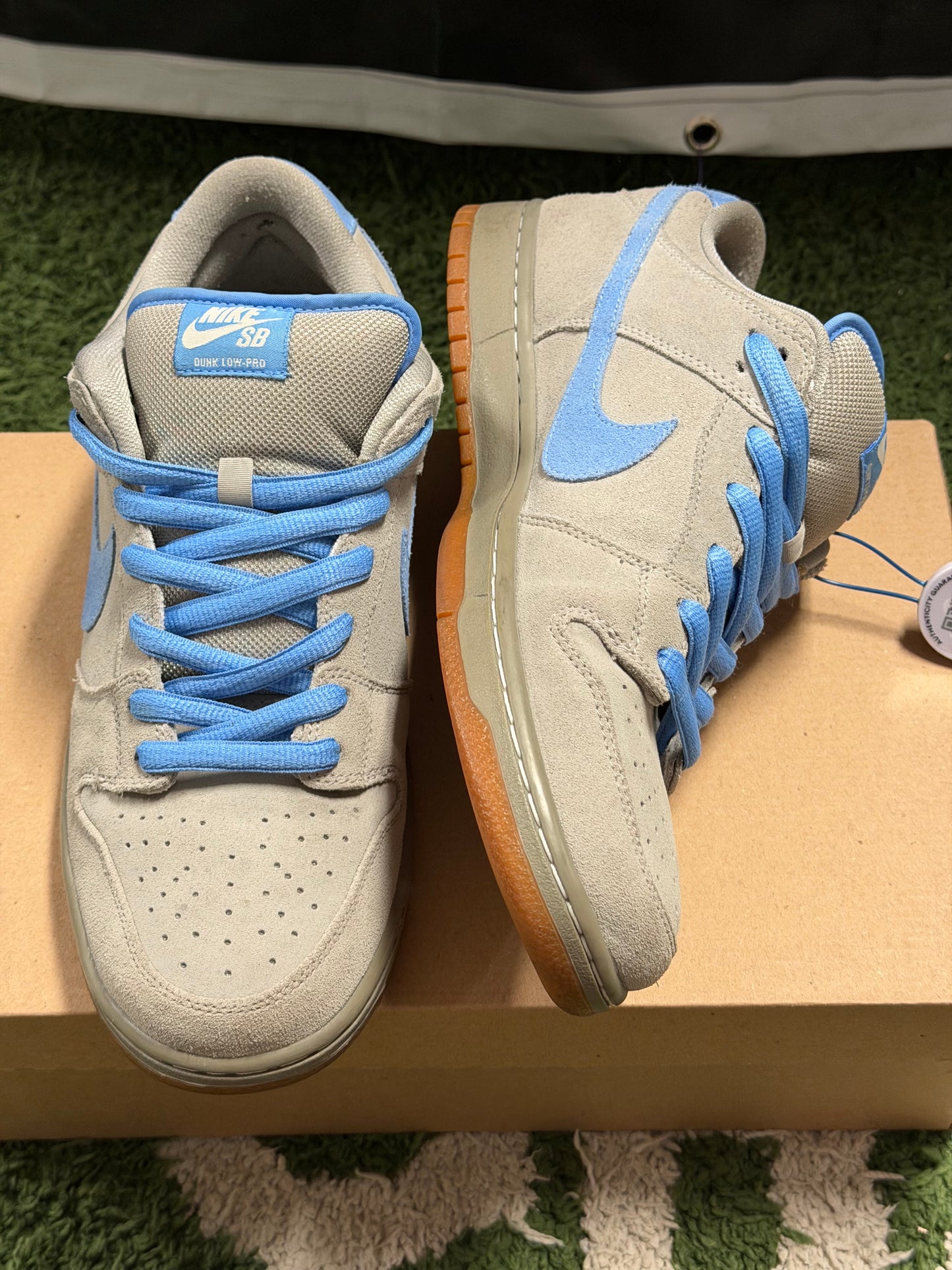 Nike SB Dunk Low Iron Low