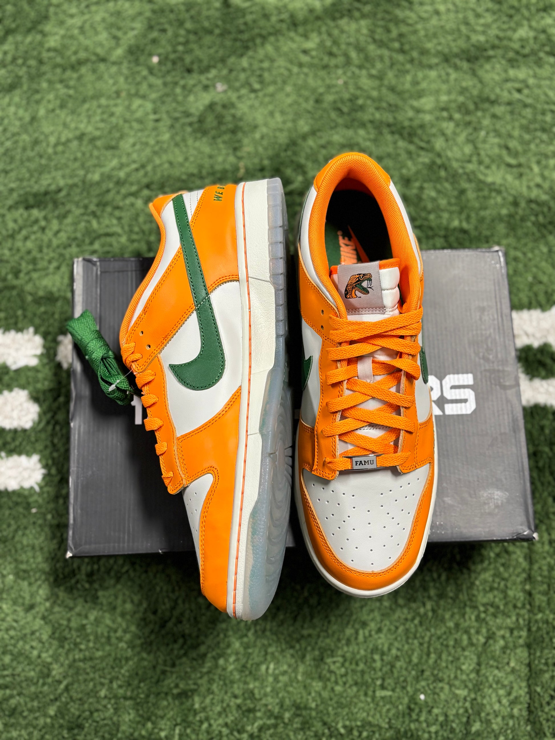 Nike Dunk Low FAMU